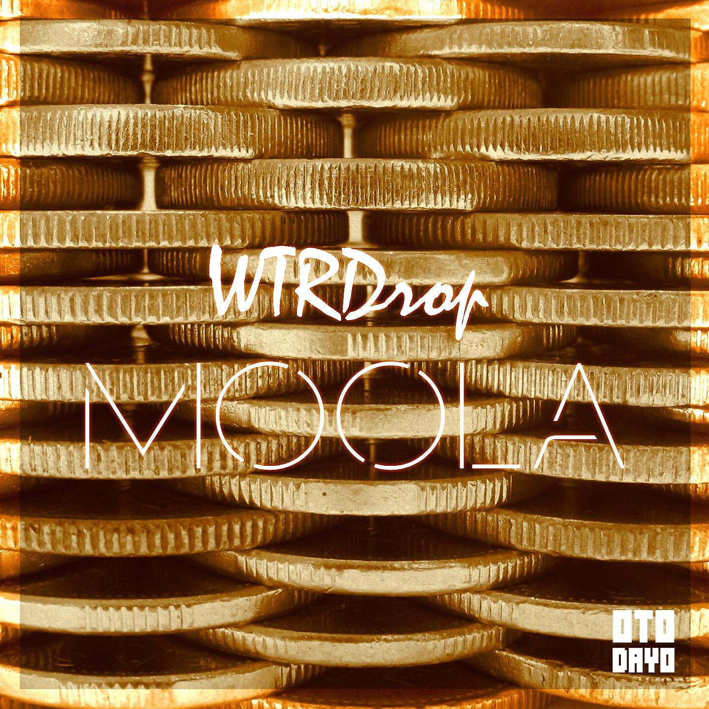 Постер альбома Moola