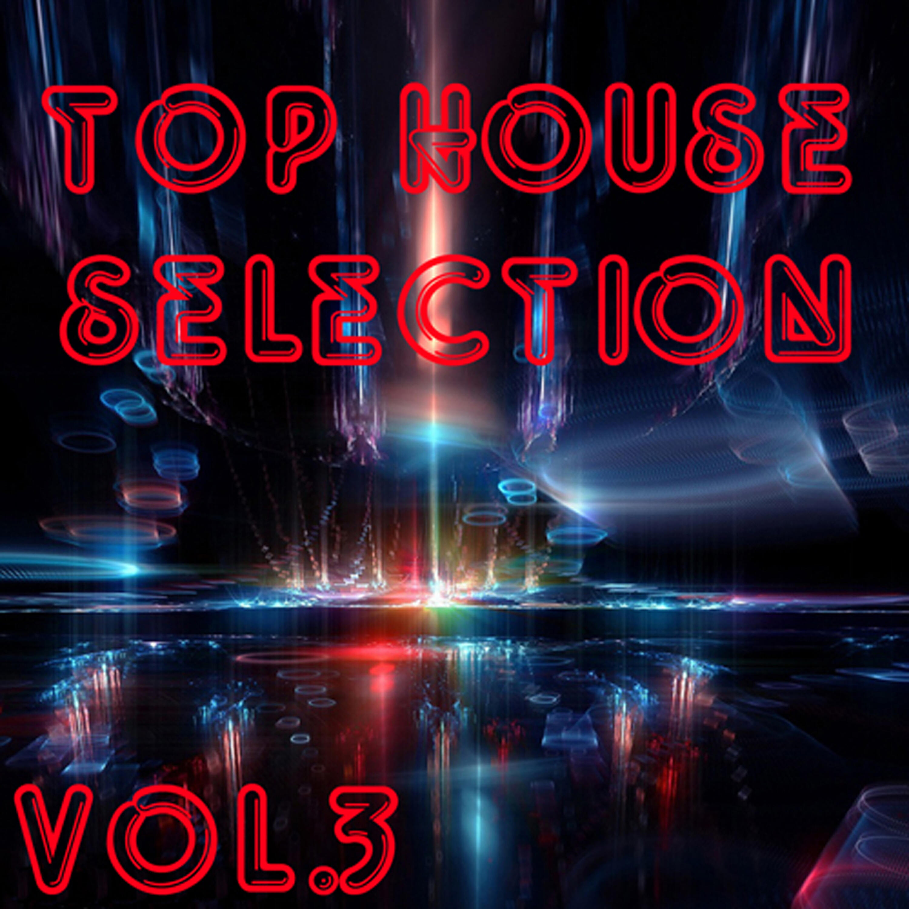 Релиз Top House Selection Vol. 3