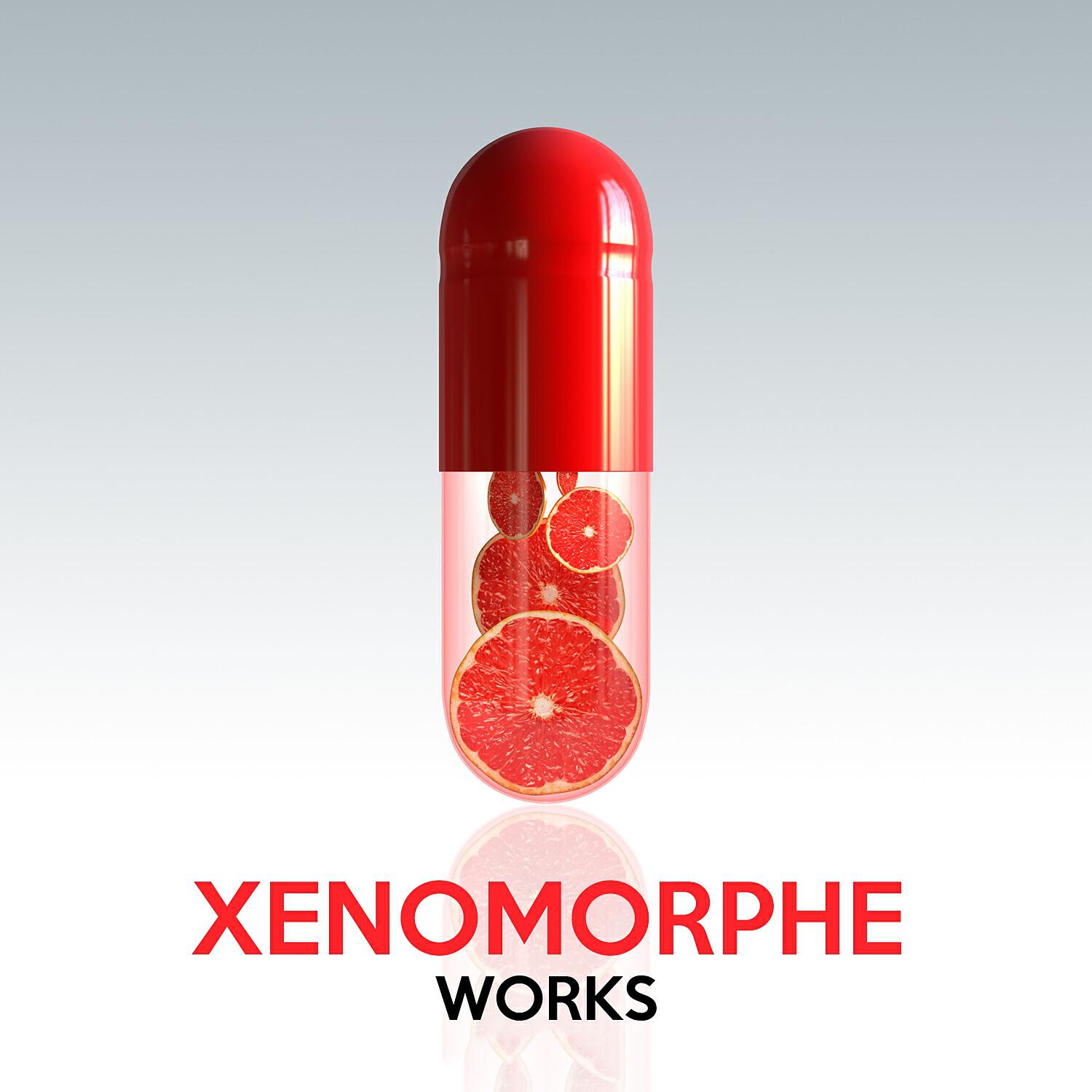 Релиз Xenomorphe Works