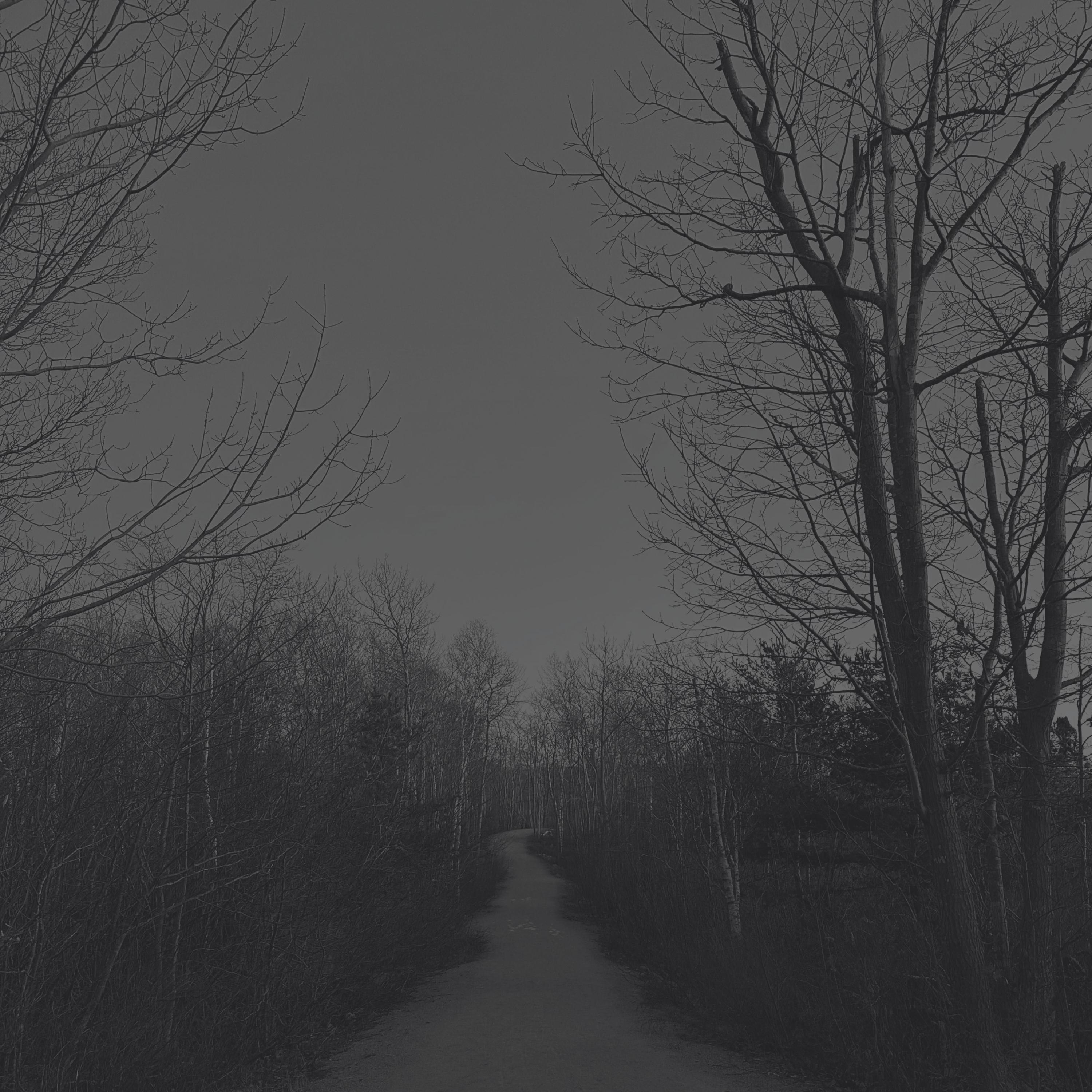 Релиз The Way