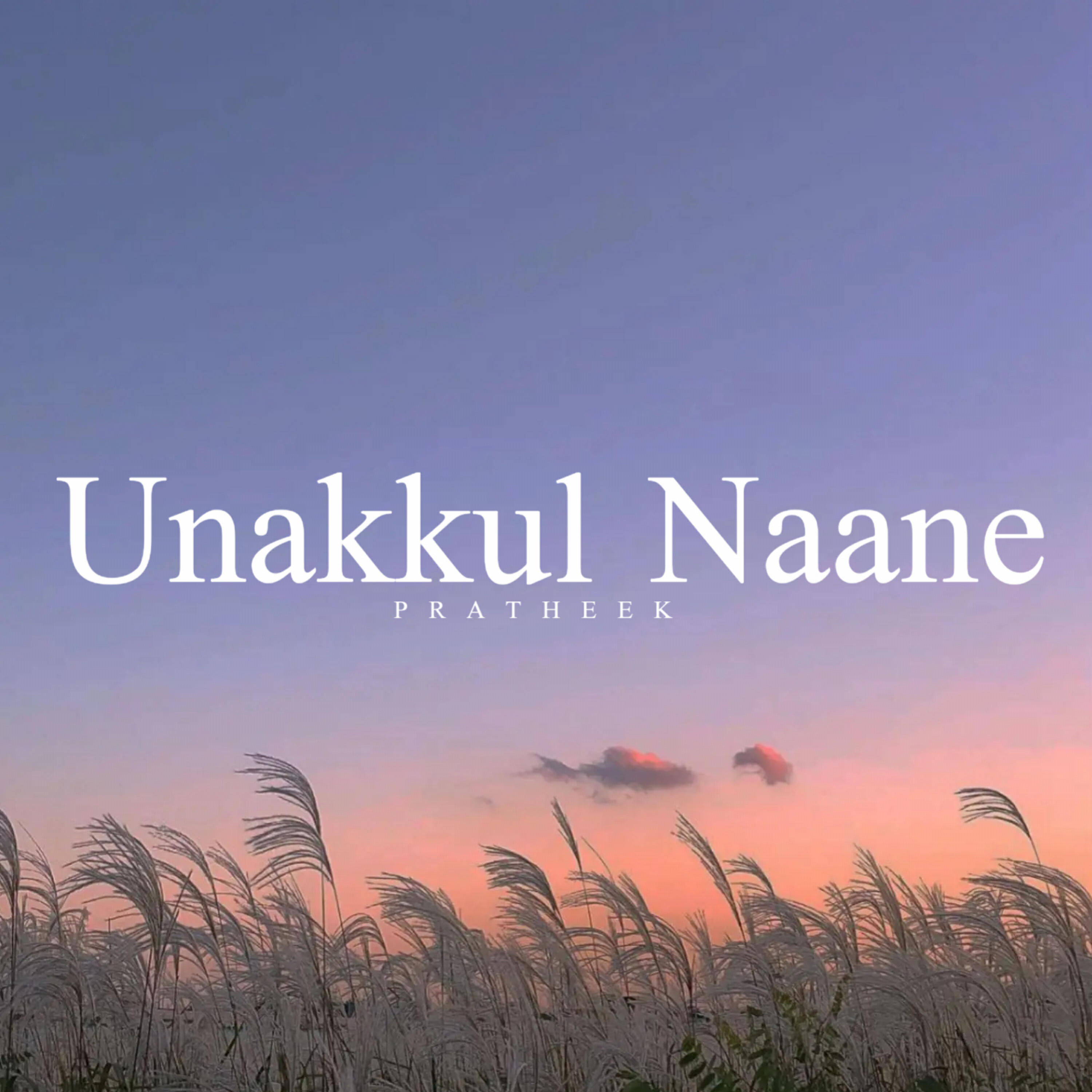 Постер альбома Unakkul Naane (slowed reverb)
