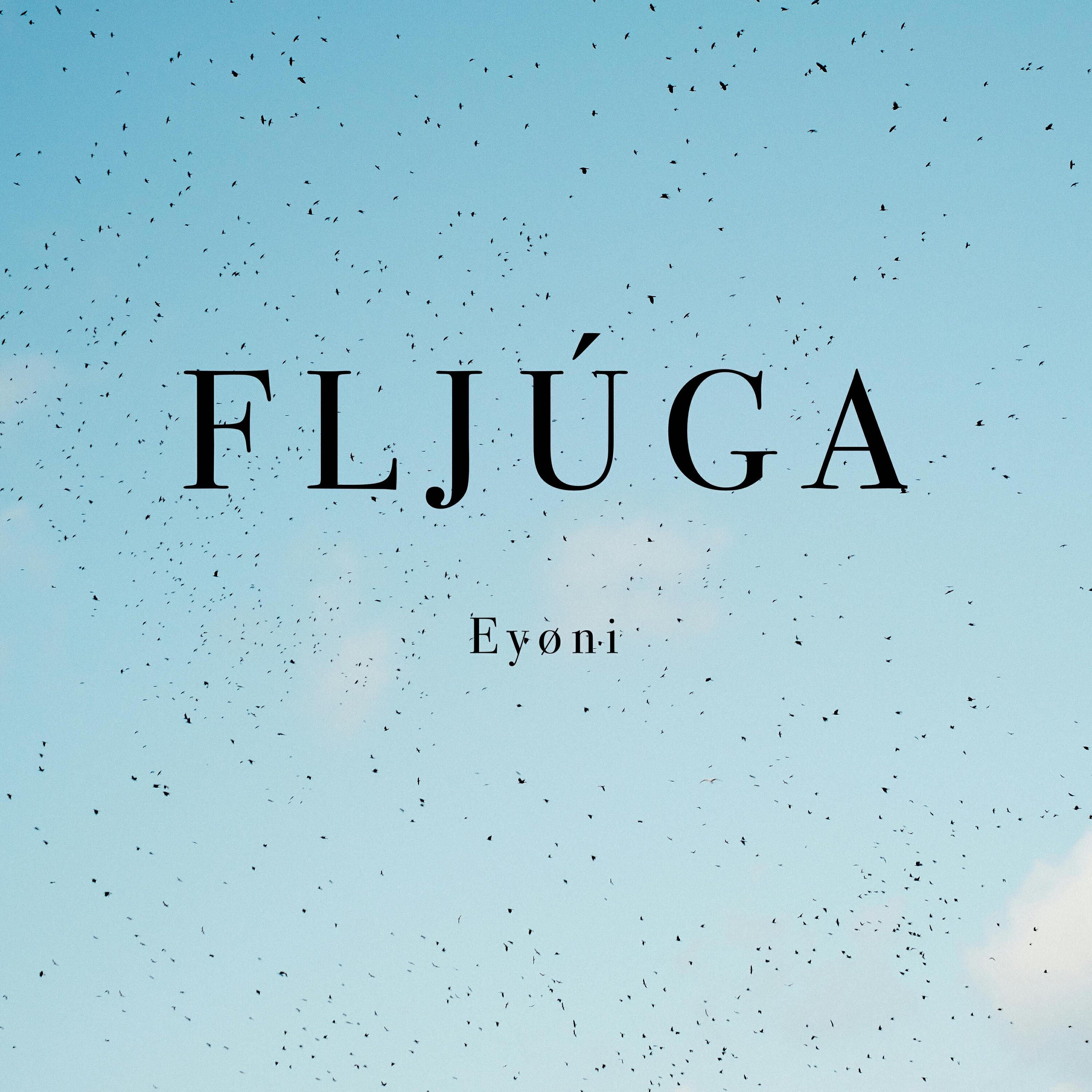 Релиз Fljúga