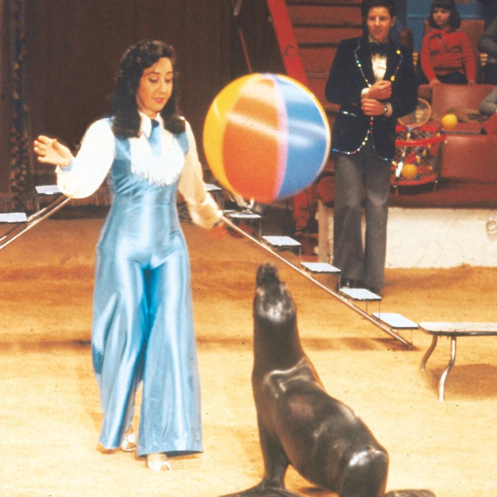 Budapest Circus Orchestra