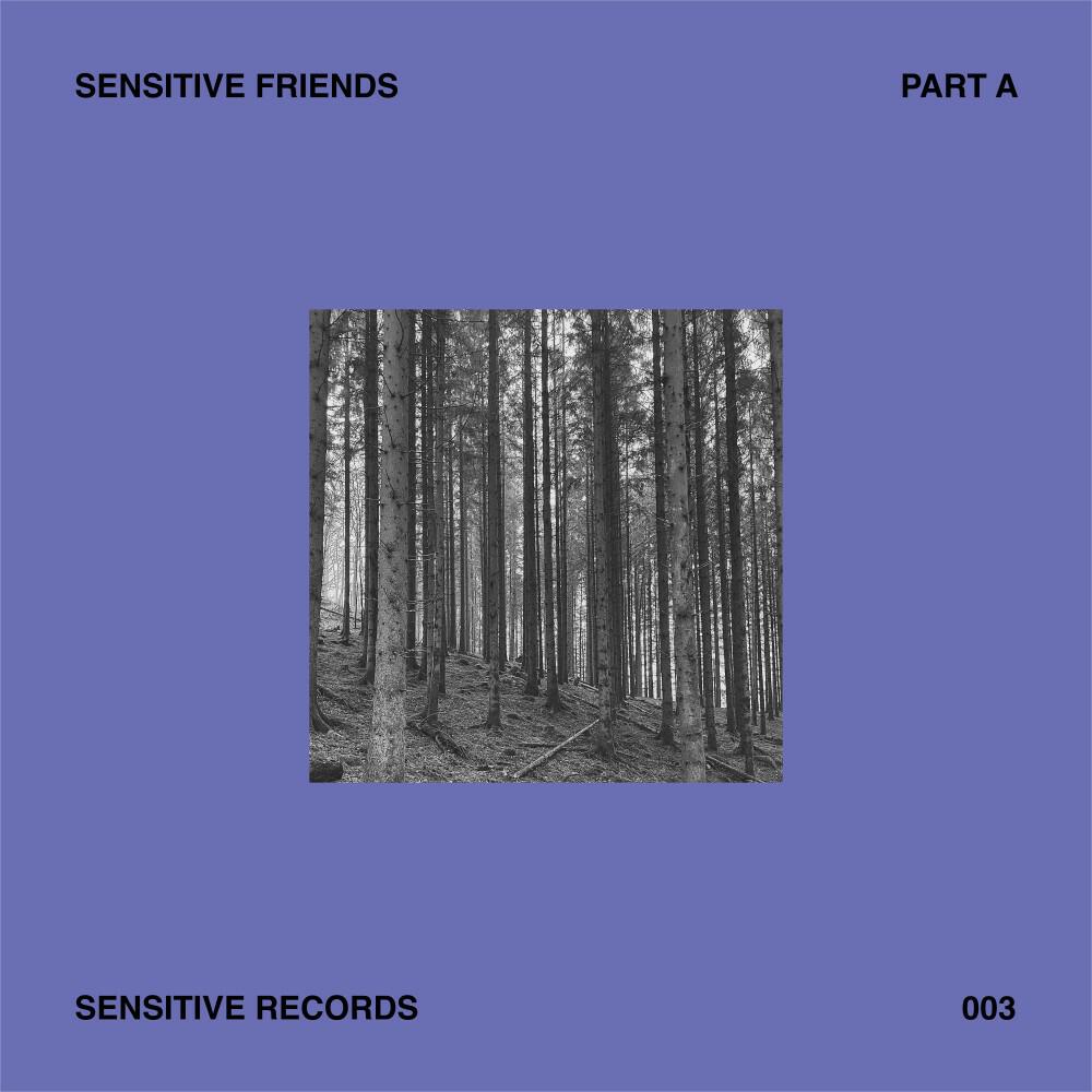 Релиз Sensitive Friends - Part A