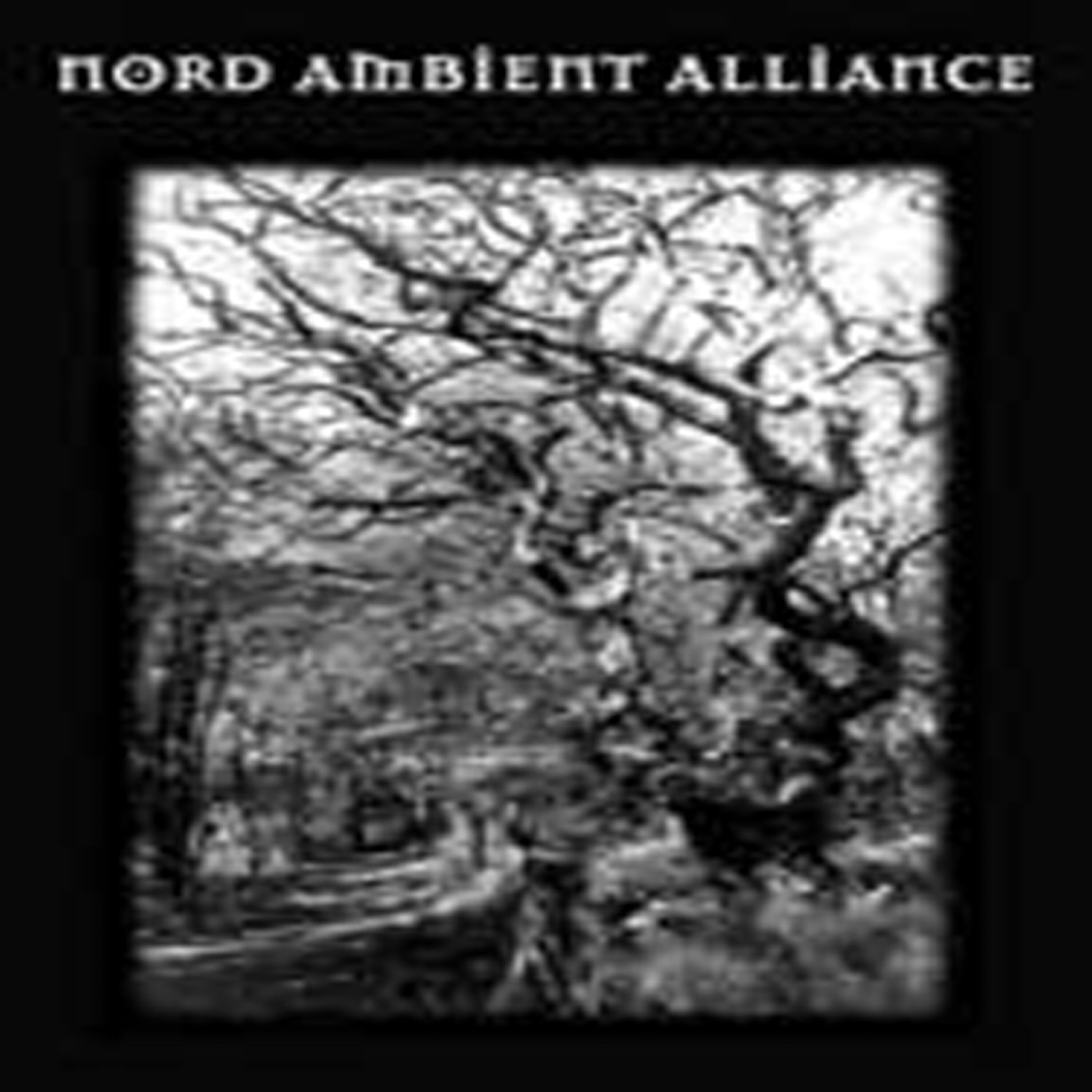 Релиз Nord Ambient Alliance