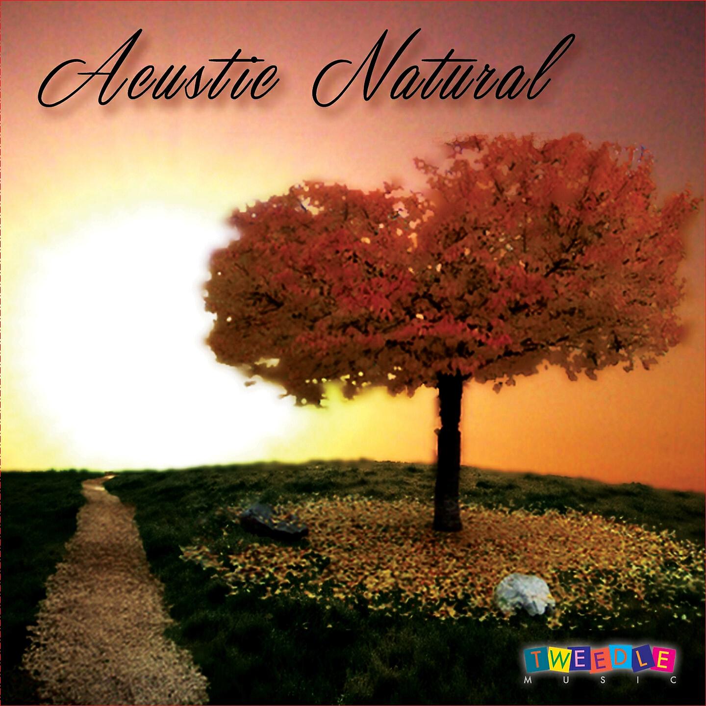 Релиз Acustic Natural