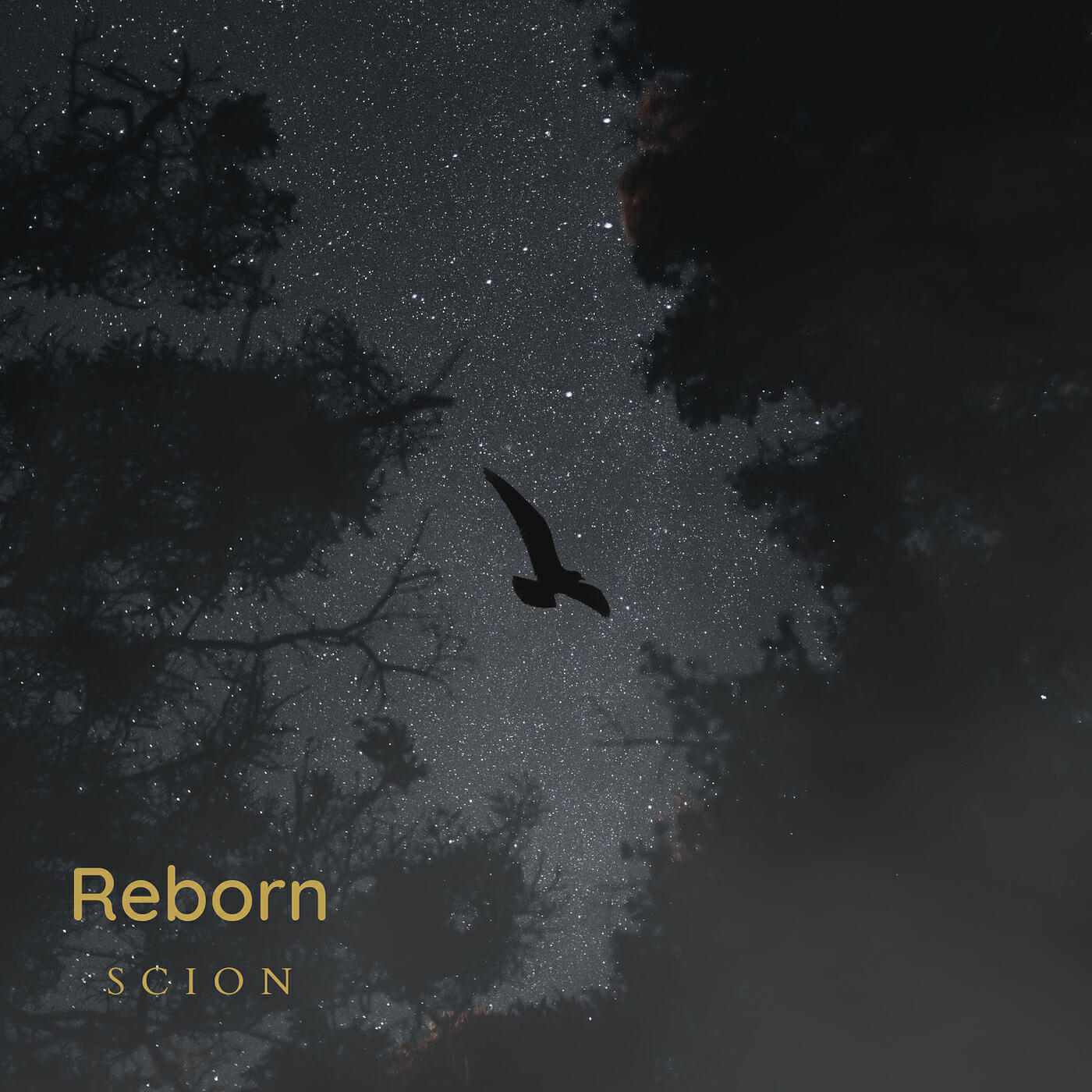 Релиз Reborn
