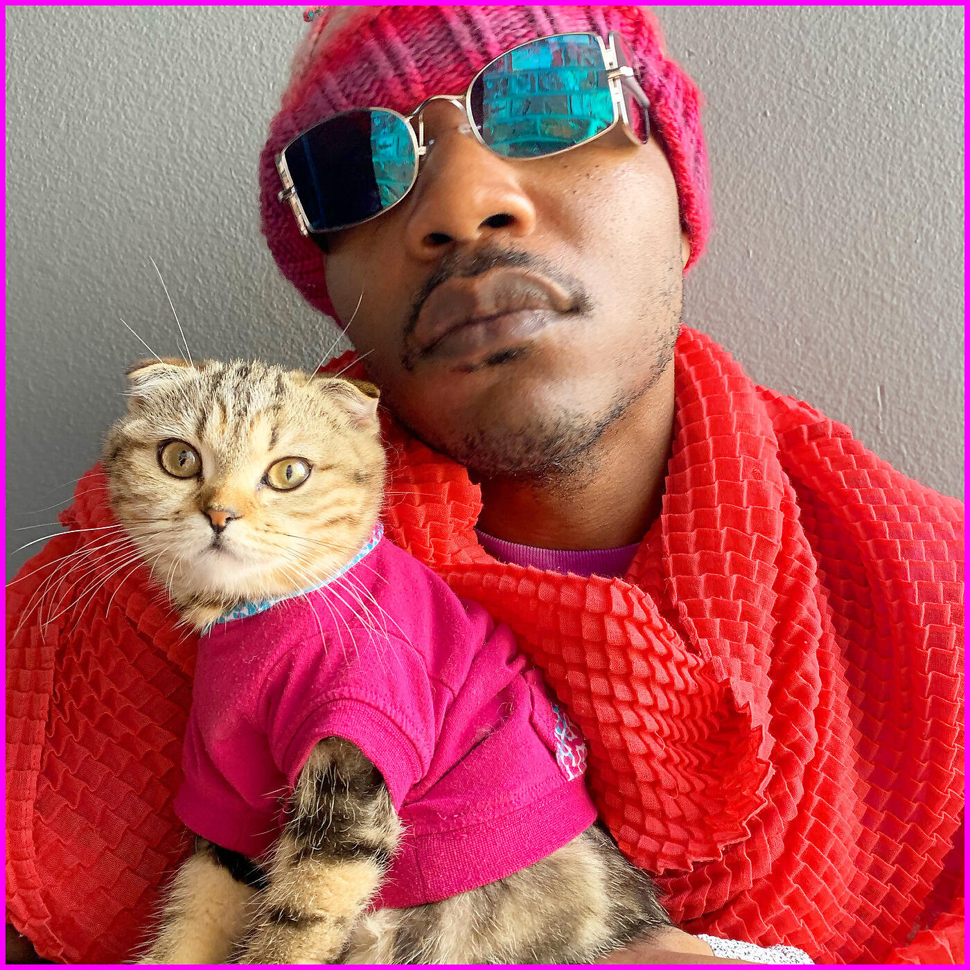 Релиз Cat Energy