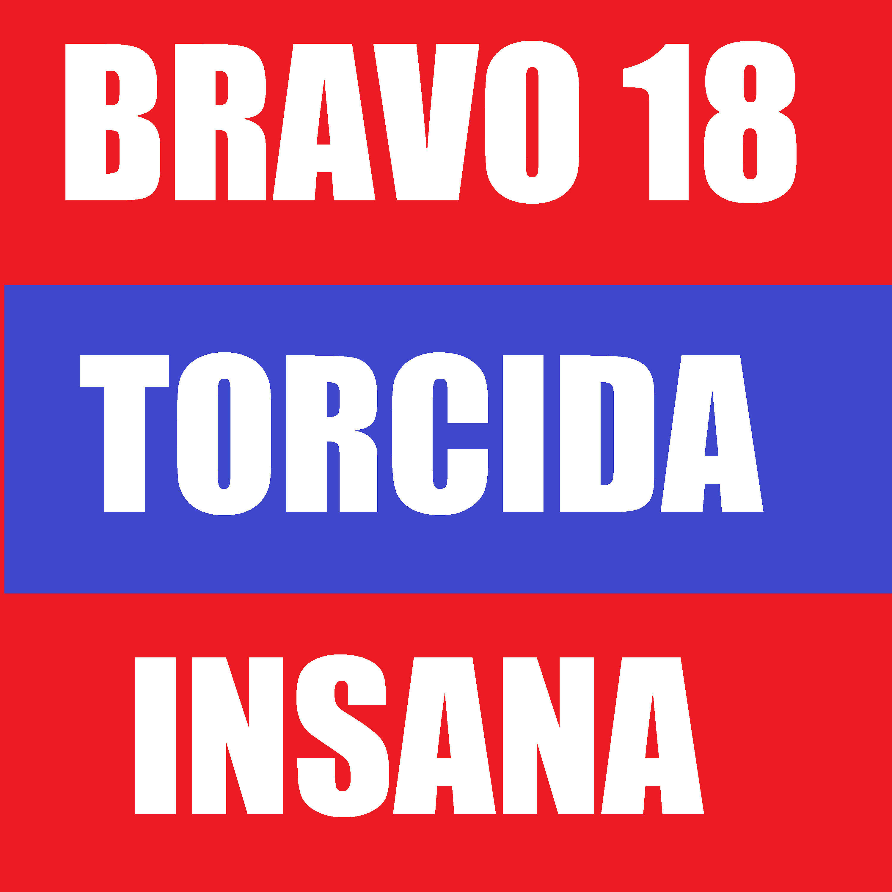 Релиз Torcida Insana