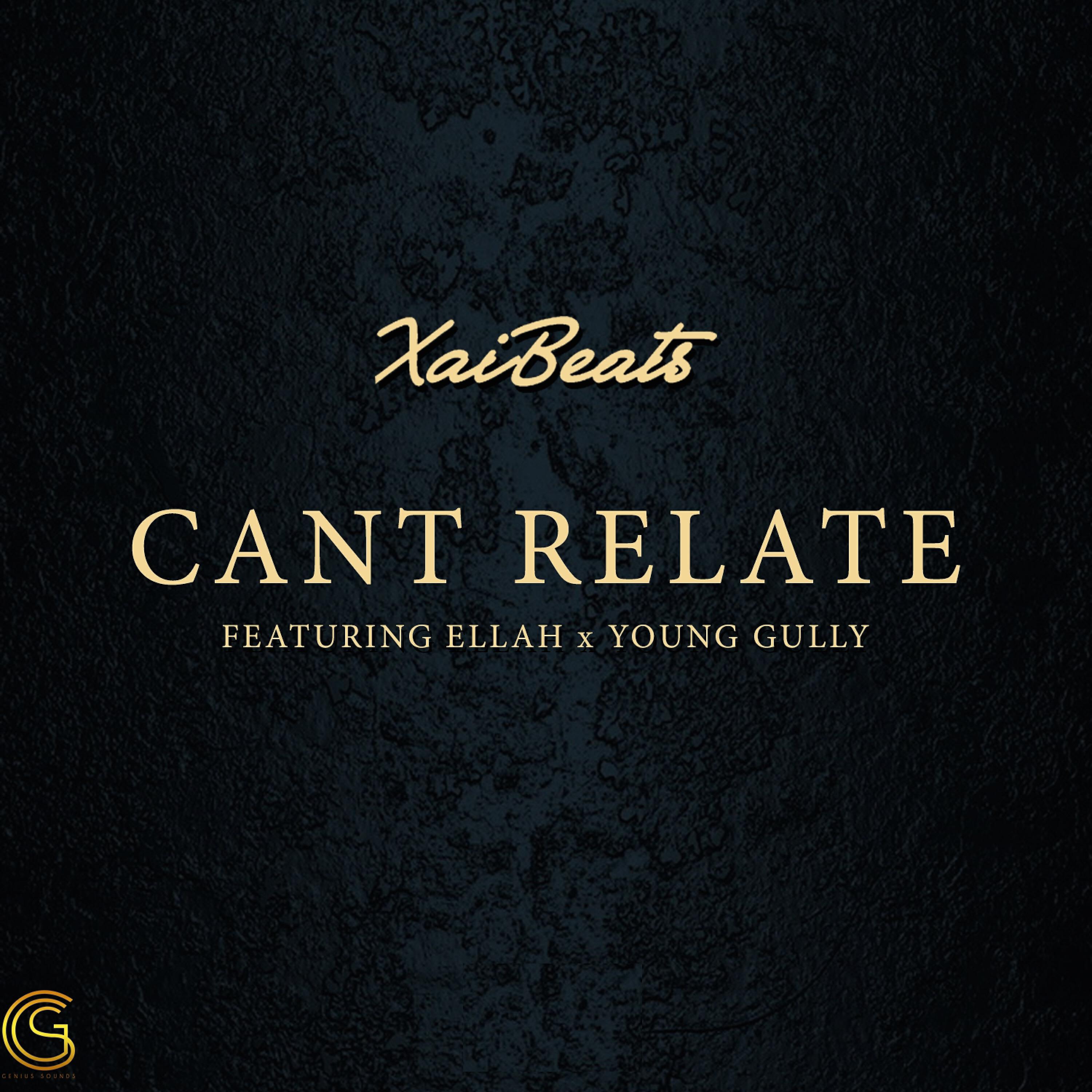 Релиз Can't Relate (feat. Ellah & Young Gully)