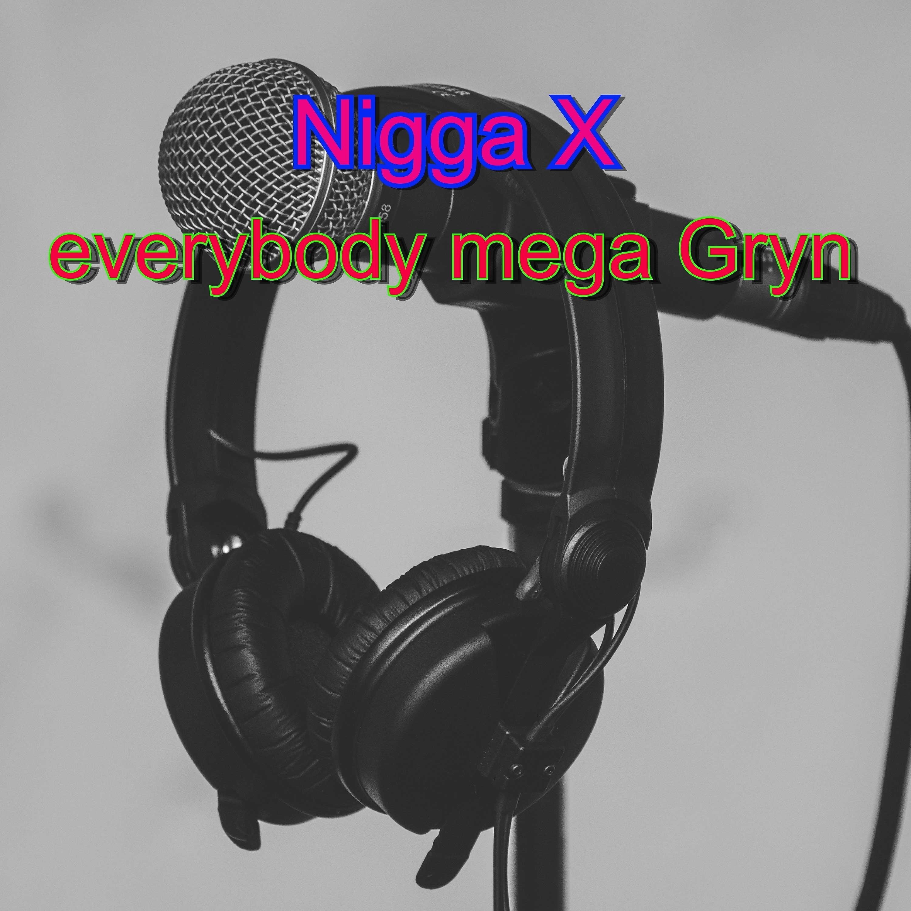 Релиз Everybody Mega Gryn