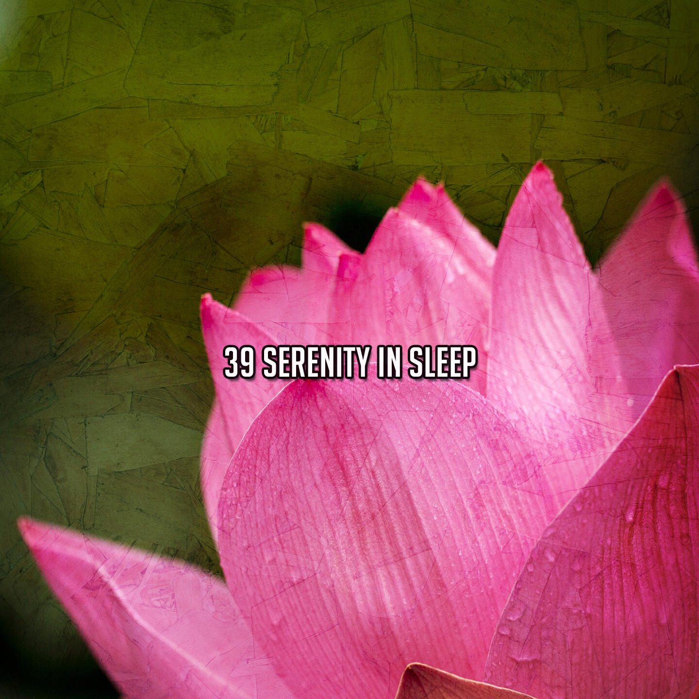 Релиз 39 Serenity In Sleep