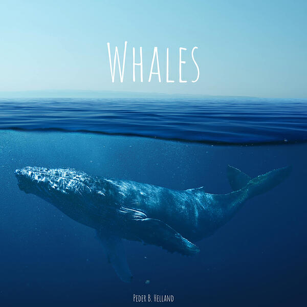 Релиз Whales