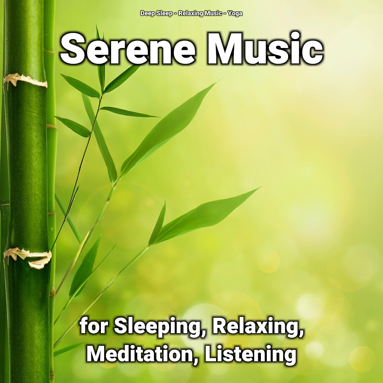 Релиз Serene Music for Sleeping, Relaxing, Meditation, Listening