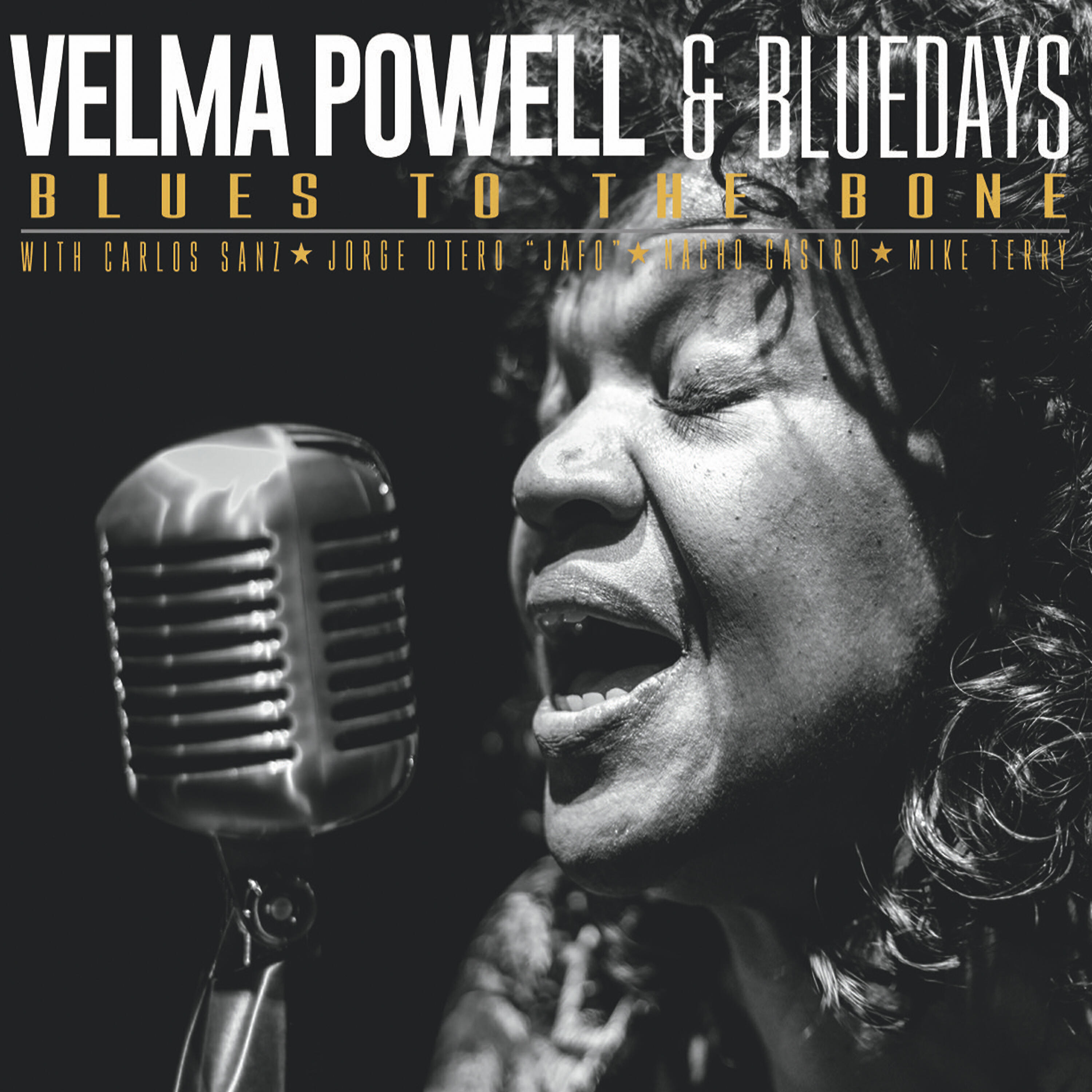 Релиз Blues to the Bone