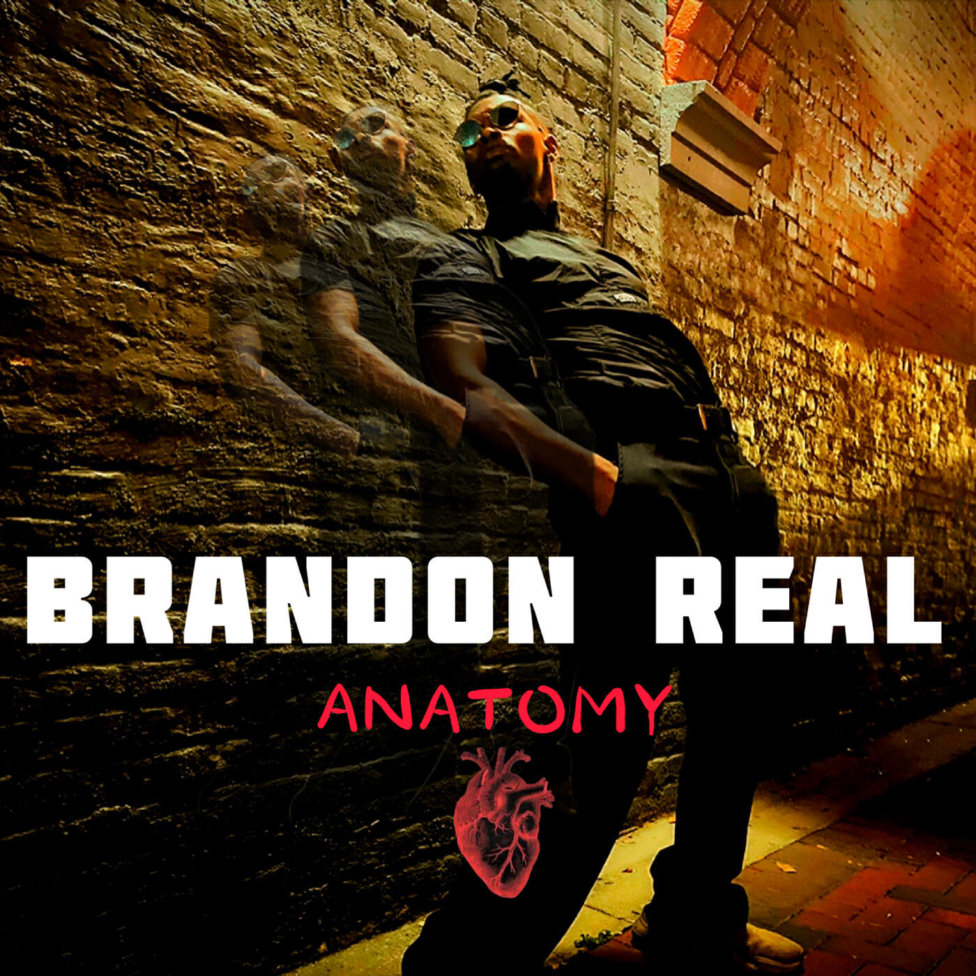 Релиз Anatomy (Acappella Version)