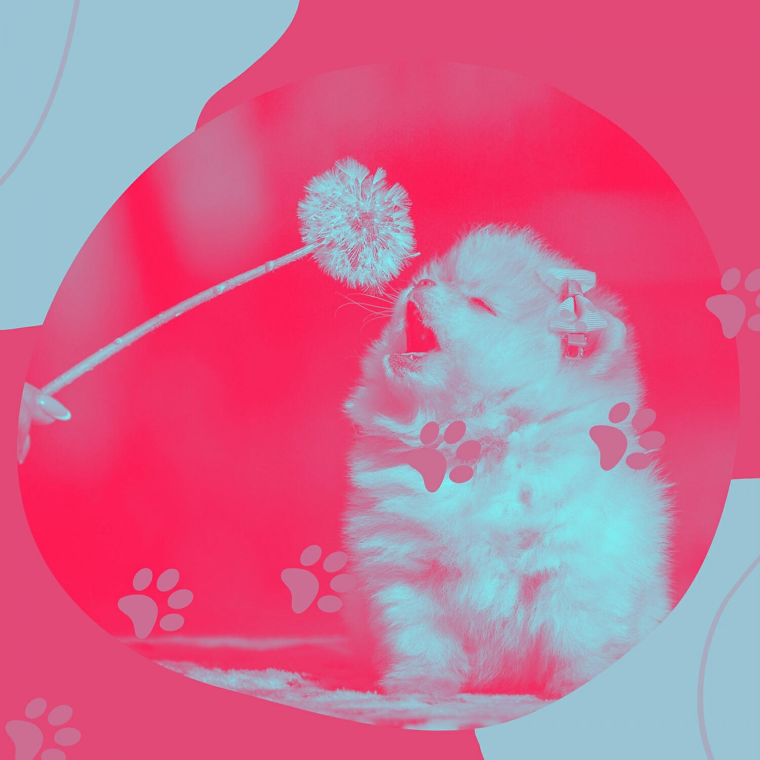 Релиз Music for Doggy Stress - Bossanova