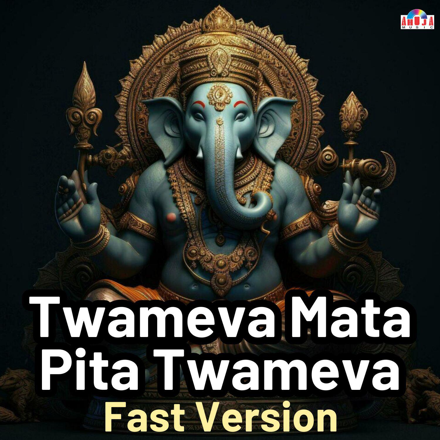 Релиз Twameva Mata Pita Twameva