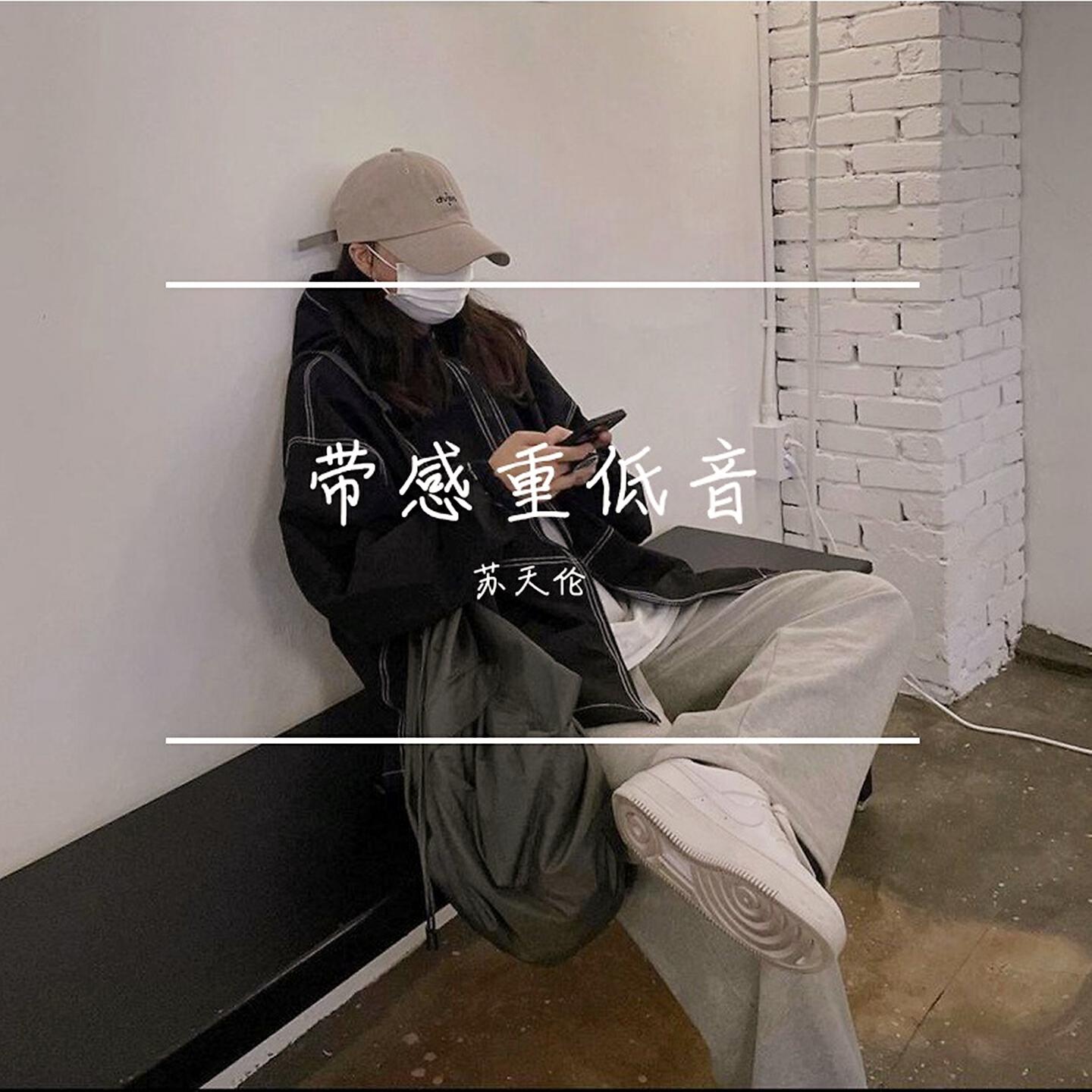 Релиз 带感重低音