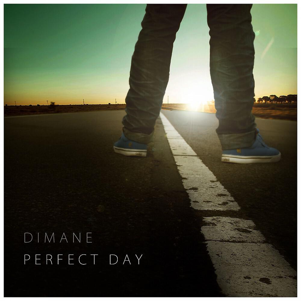 Релиз A Perfect Day