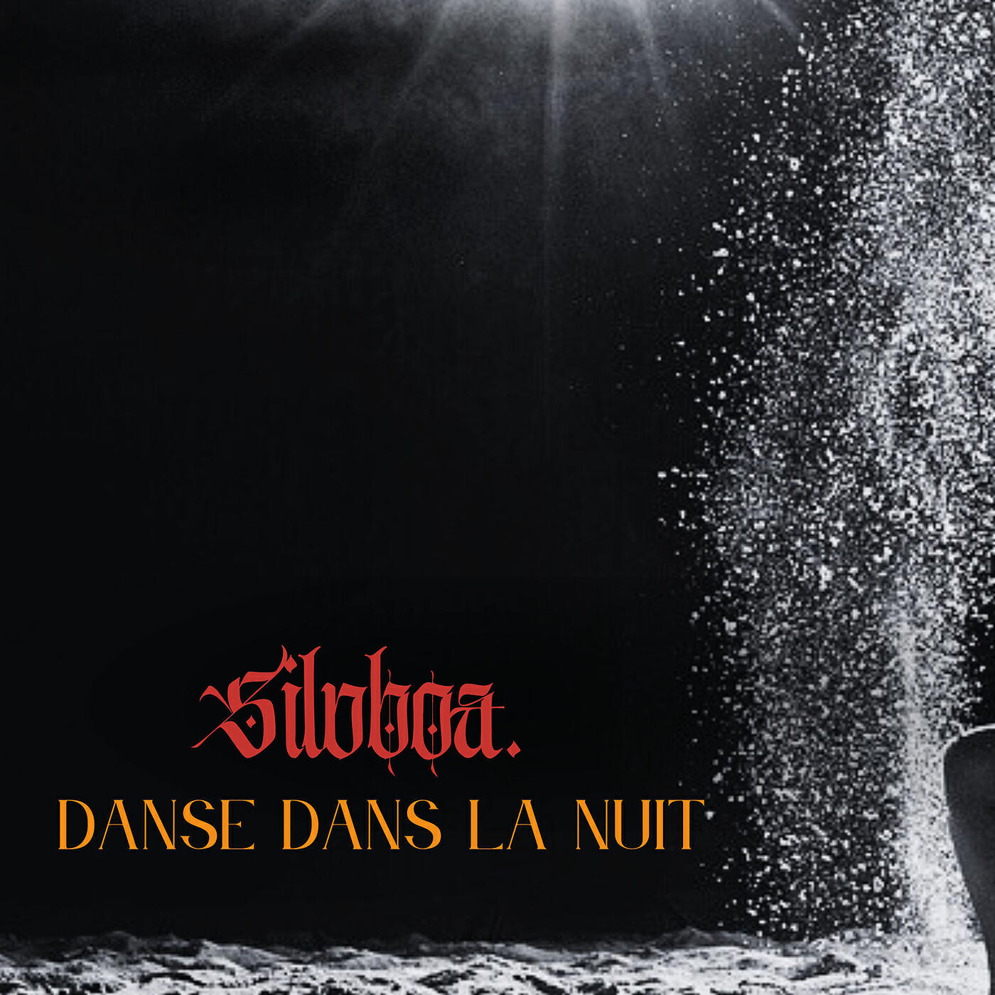 Релиз Danse Dans La Nuit