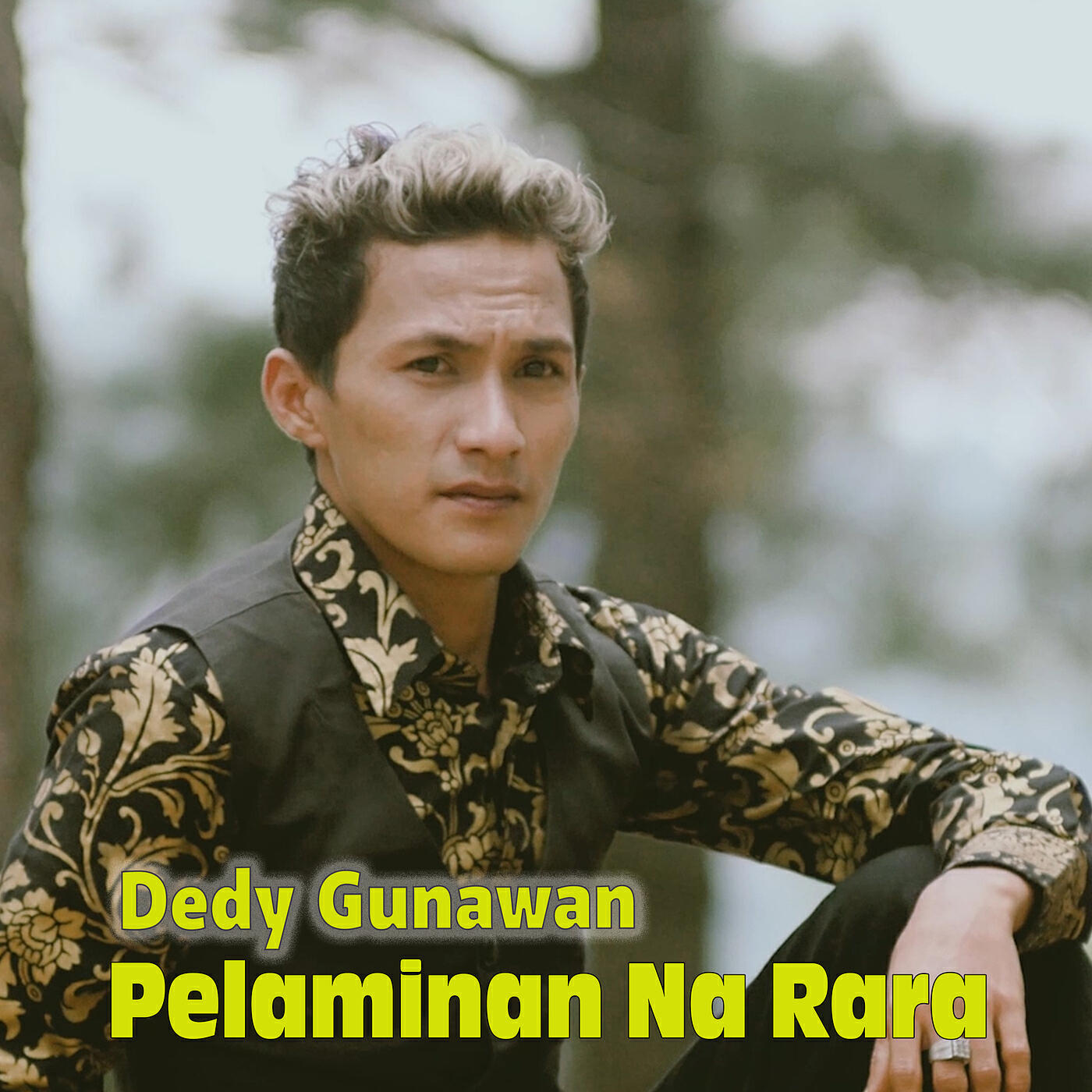 Релиз Pelaminan Na Rara