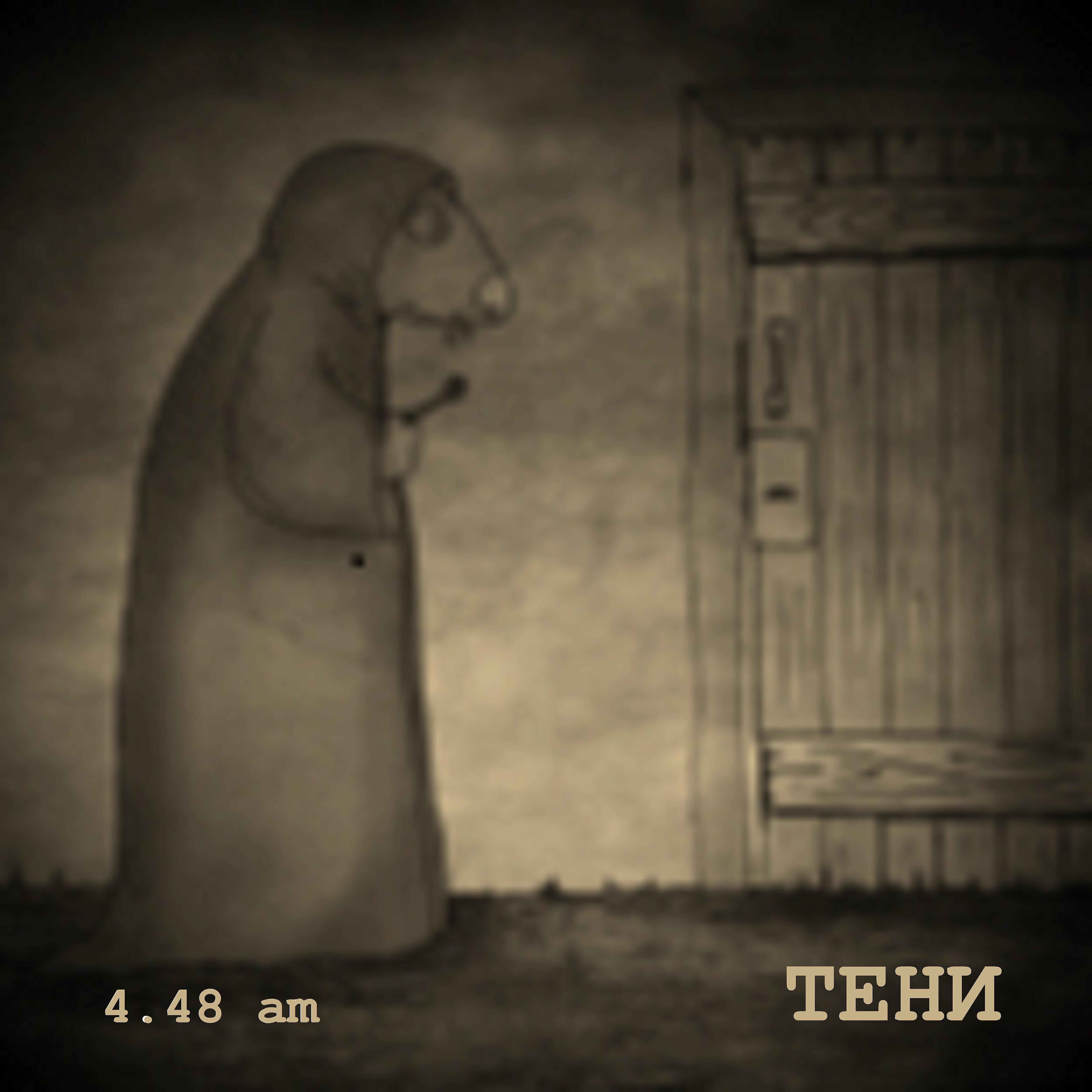 Релиз Тени
