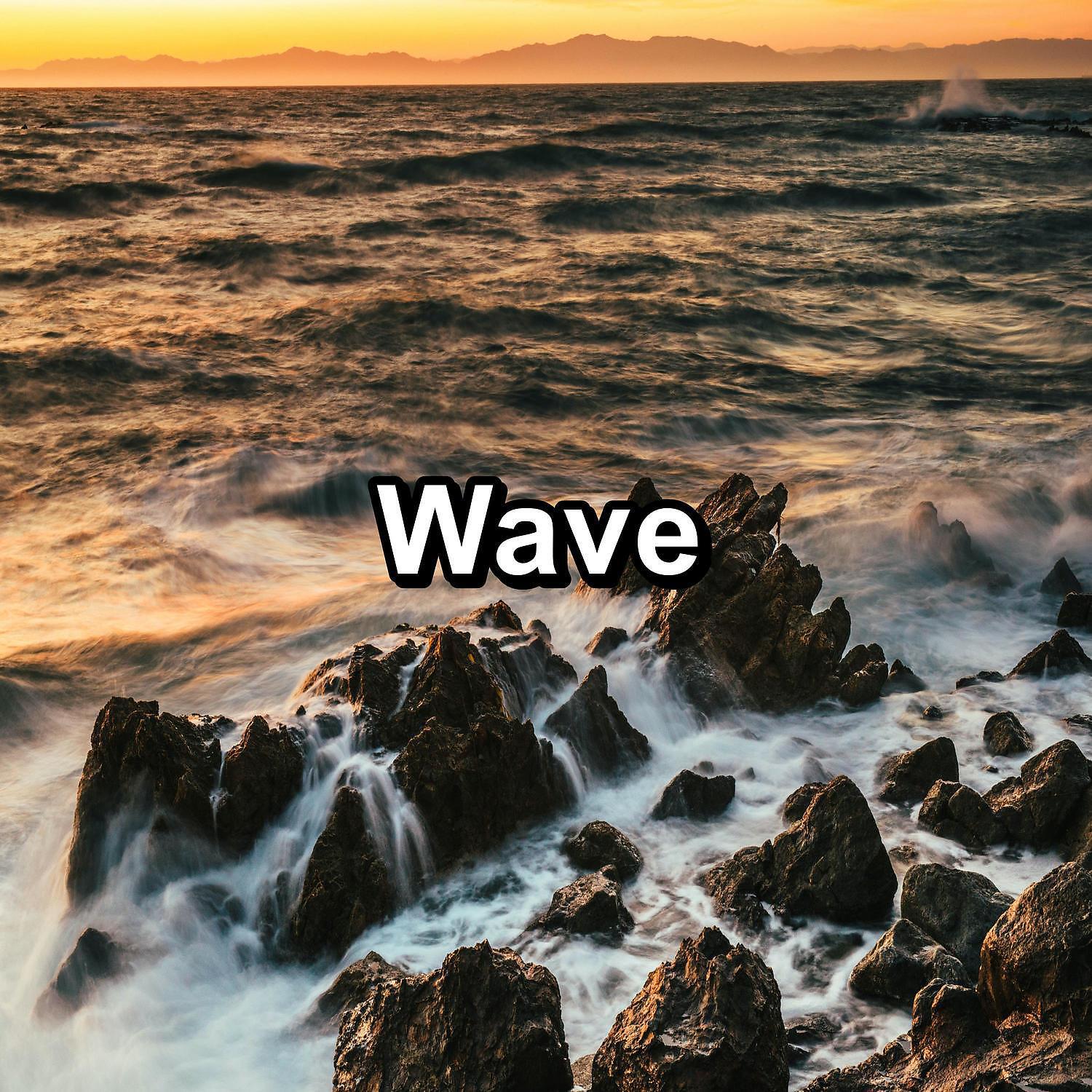 Релиз Wave