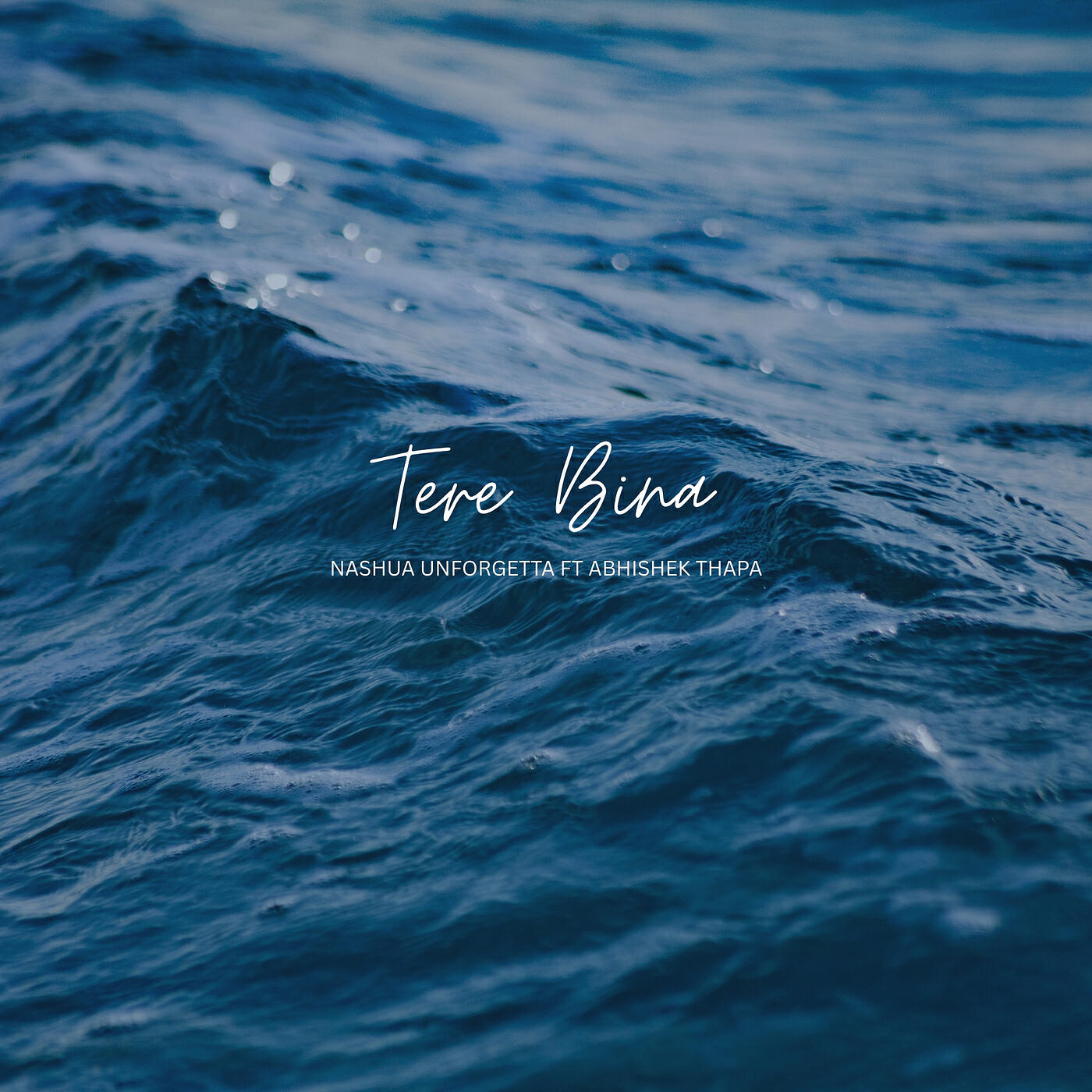 Релиз Tere Bina