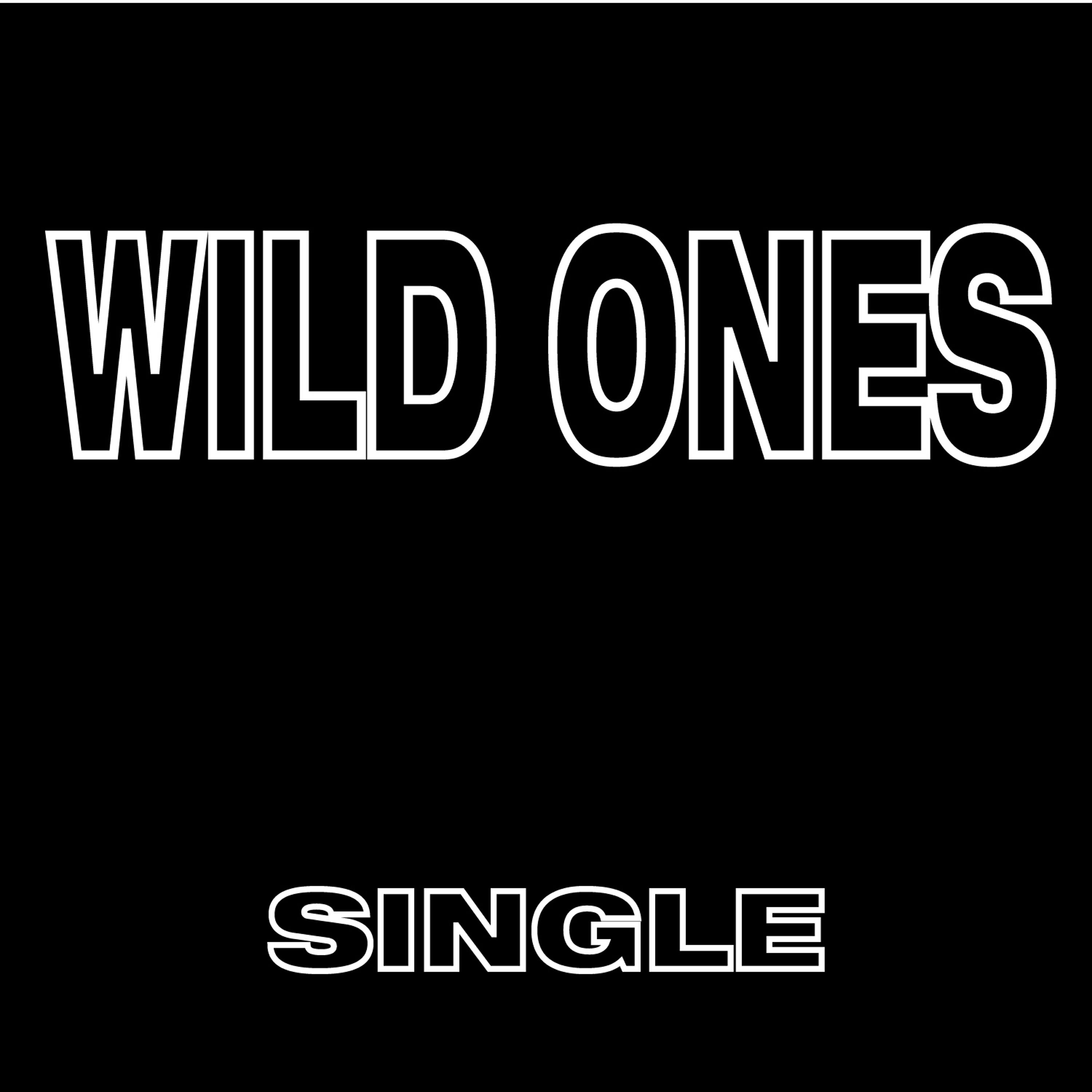 Скачать песню Flowz & The Diamonds - Wild Ones (Extended Mix) бесплатно в MP3 для Android и iOS