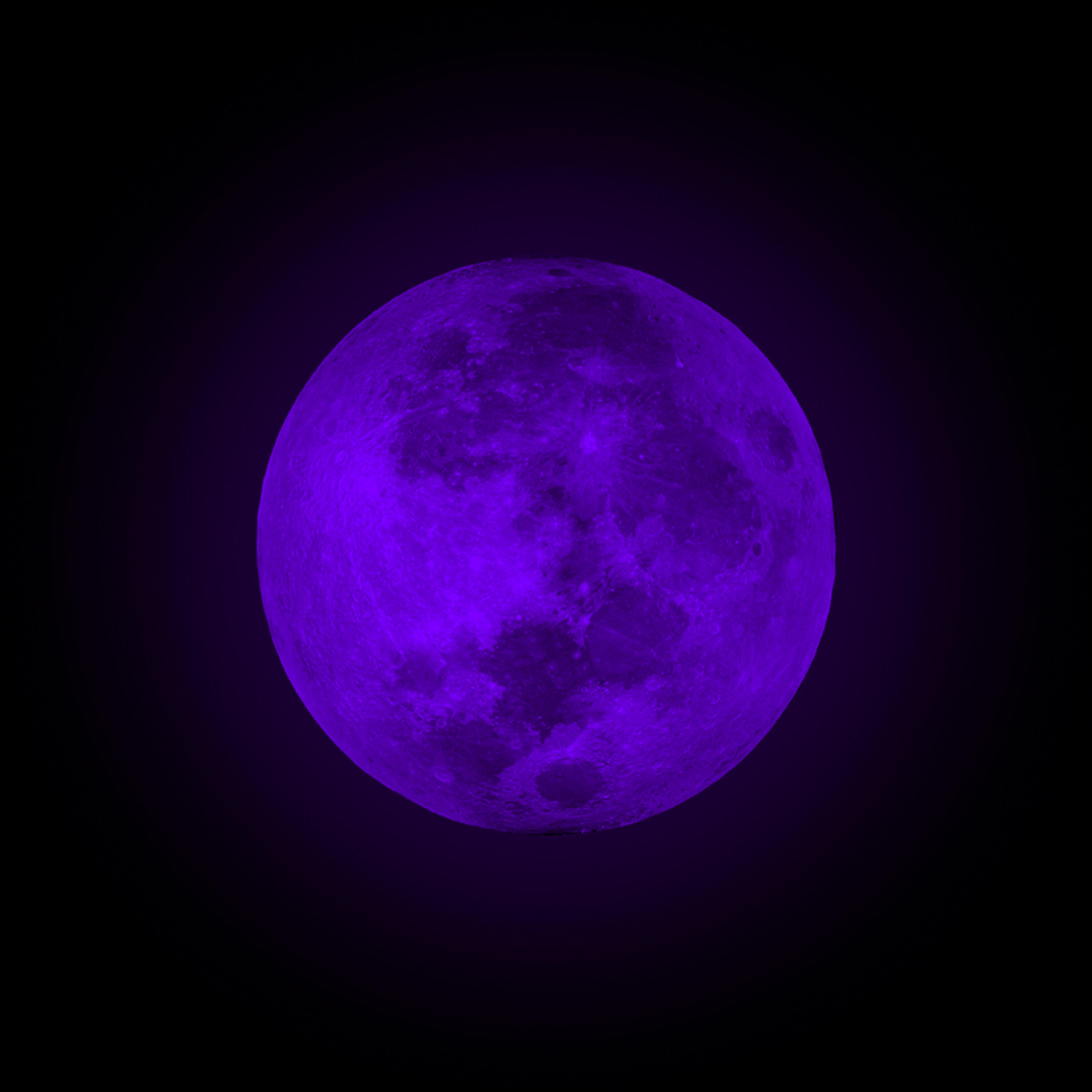 Релиз New Moon