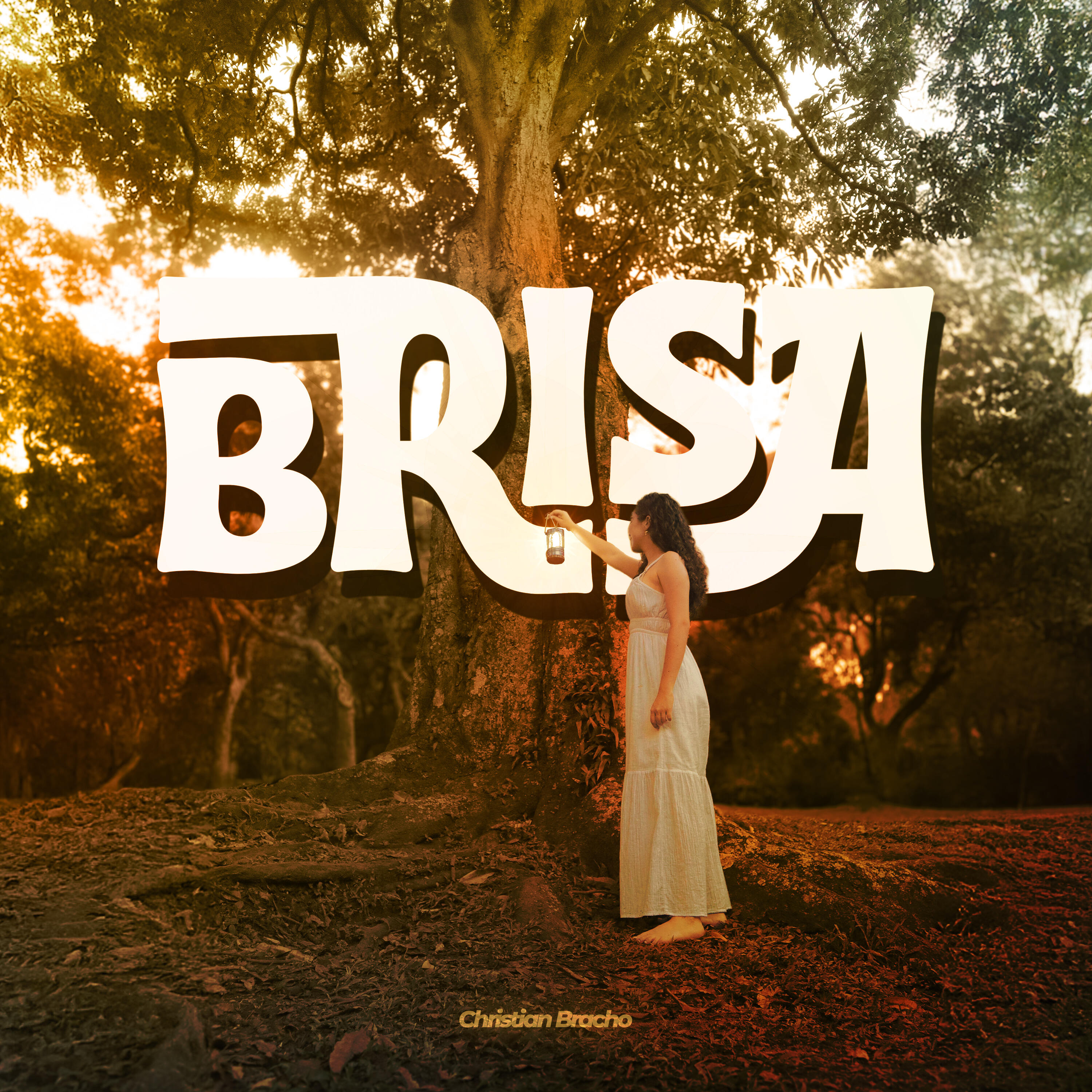 Релиз Brisa