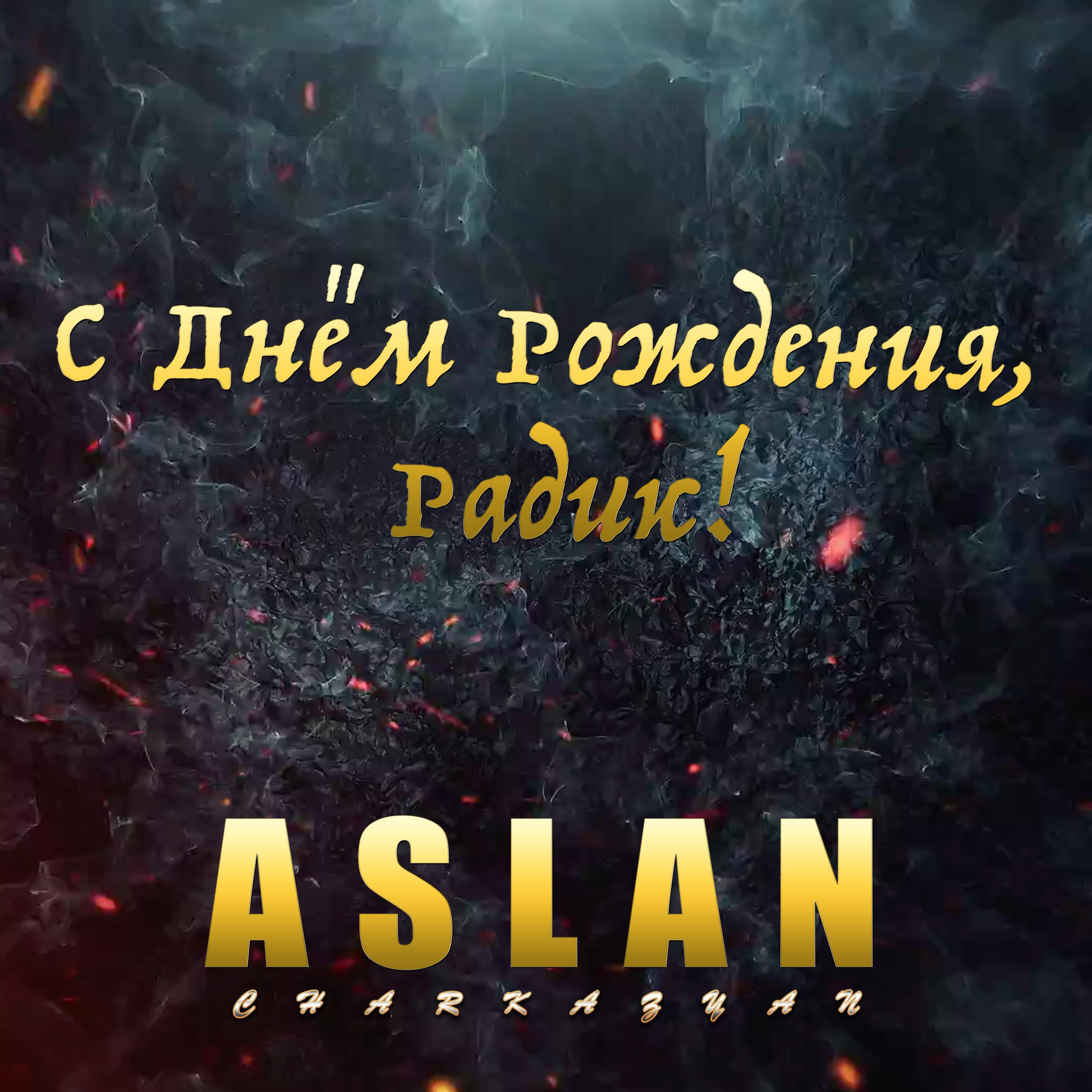 Релиз С Днём Рождения, Радик!