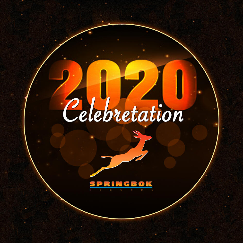 Various Springbok Records Artists