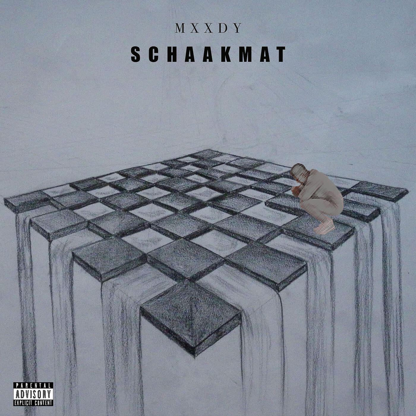 Релиз Schaakmat