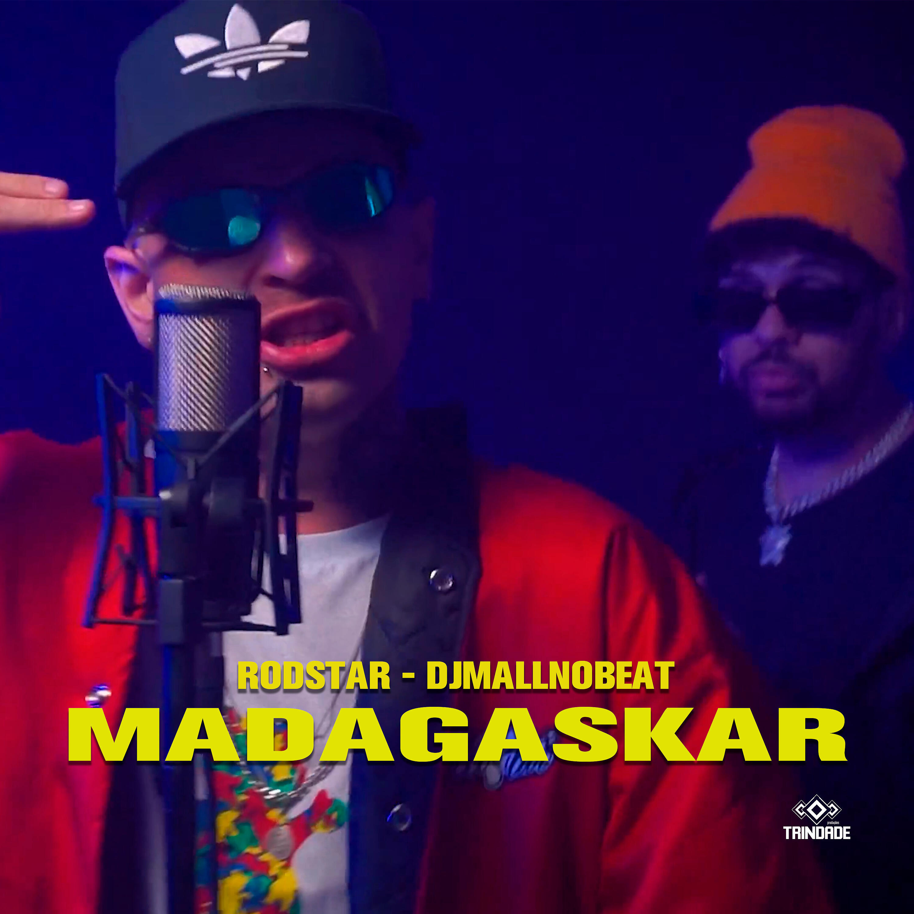 Релиз Madagaskar