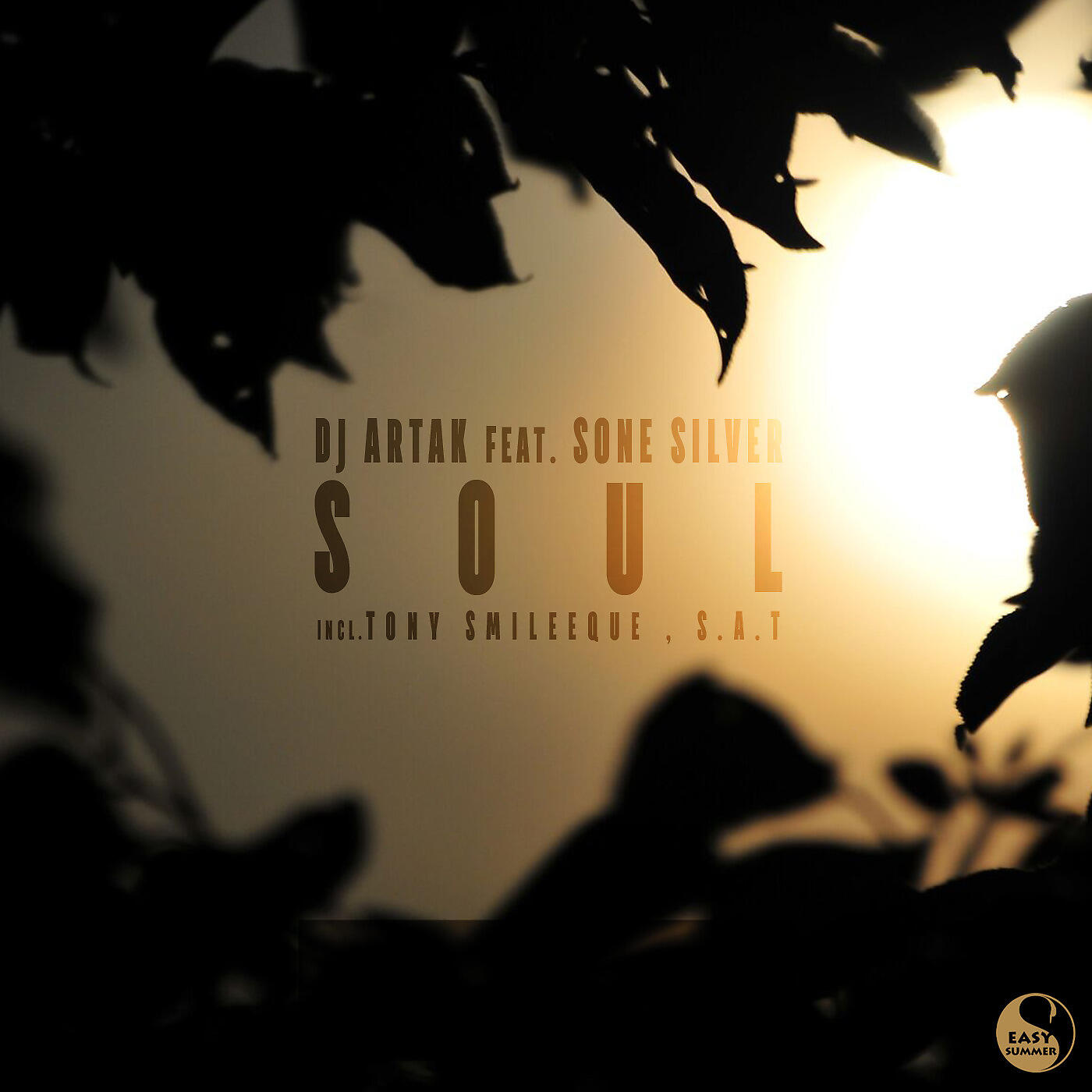 Релиз Soul (feat. Sone Silver)
