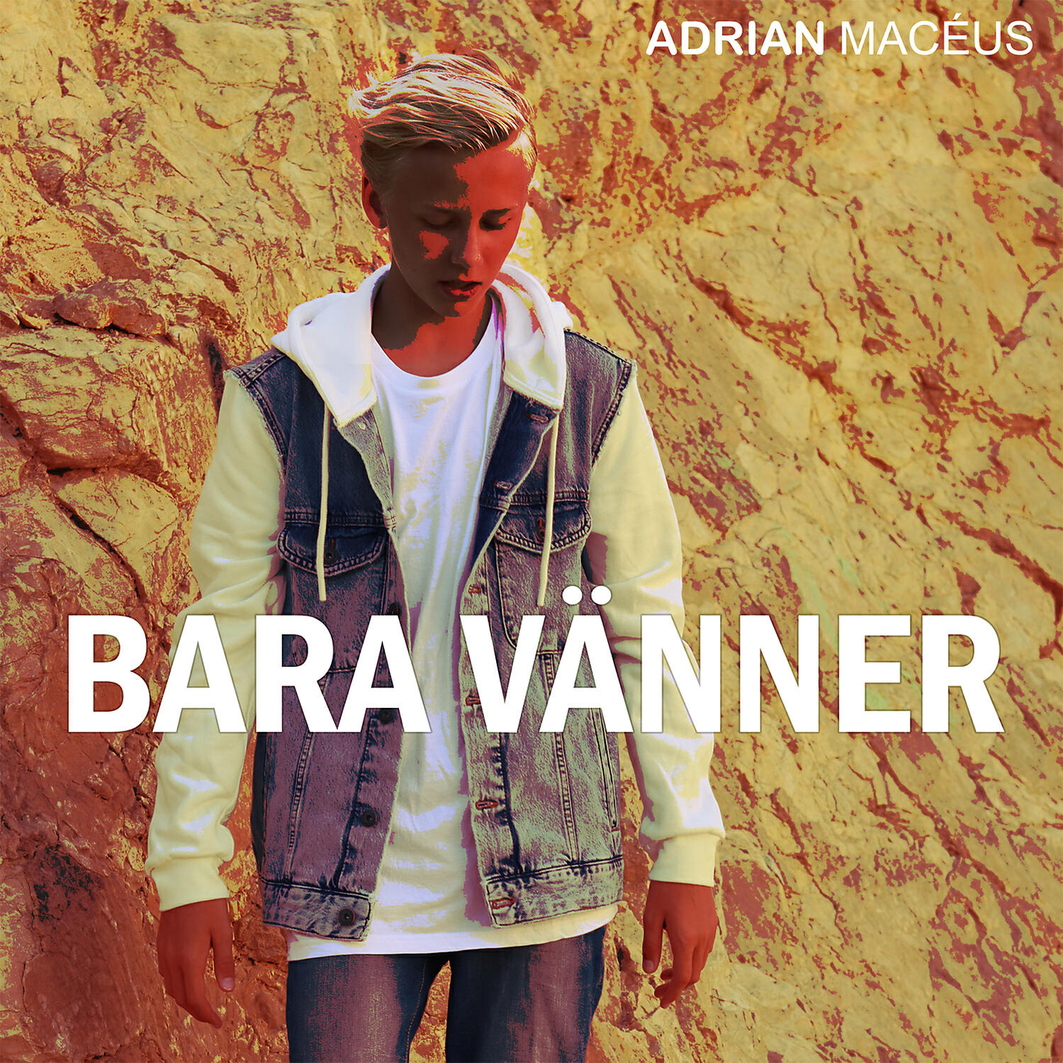 Релиз Bara Vänner