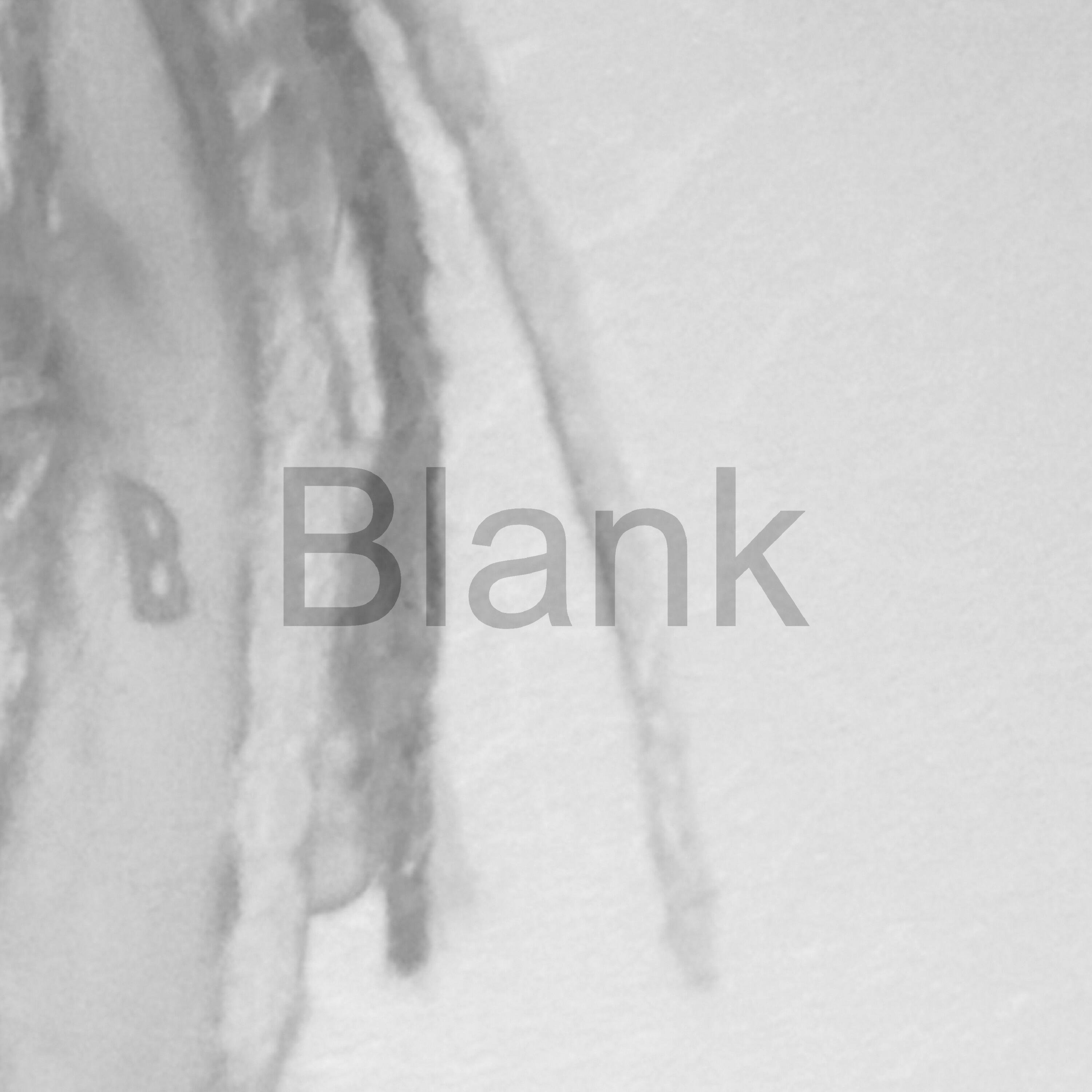 Релиз Blank