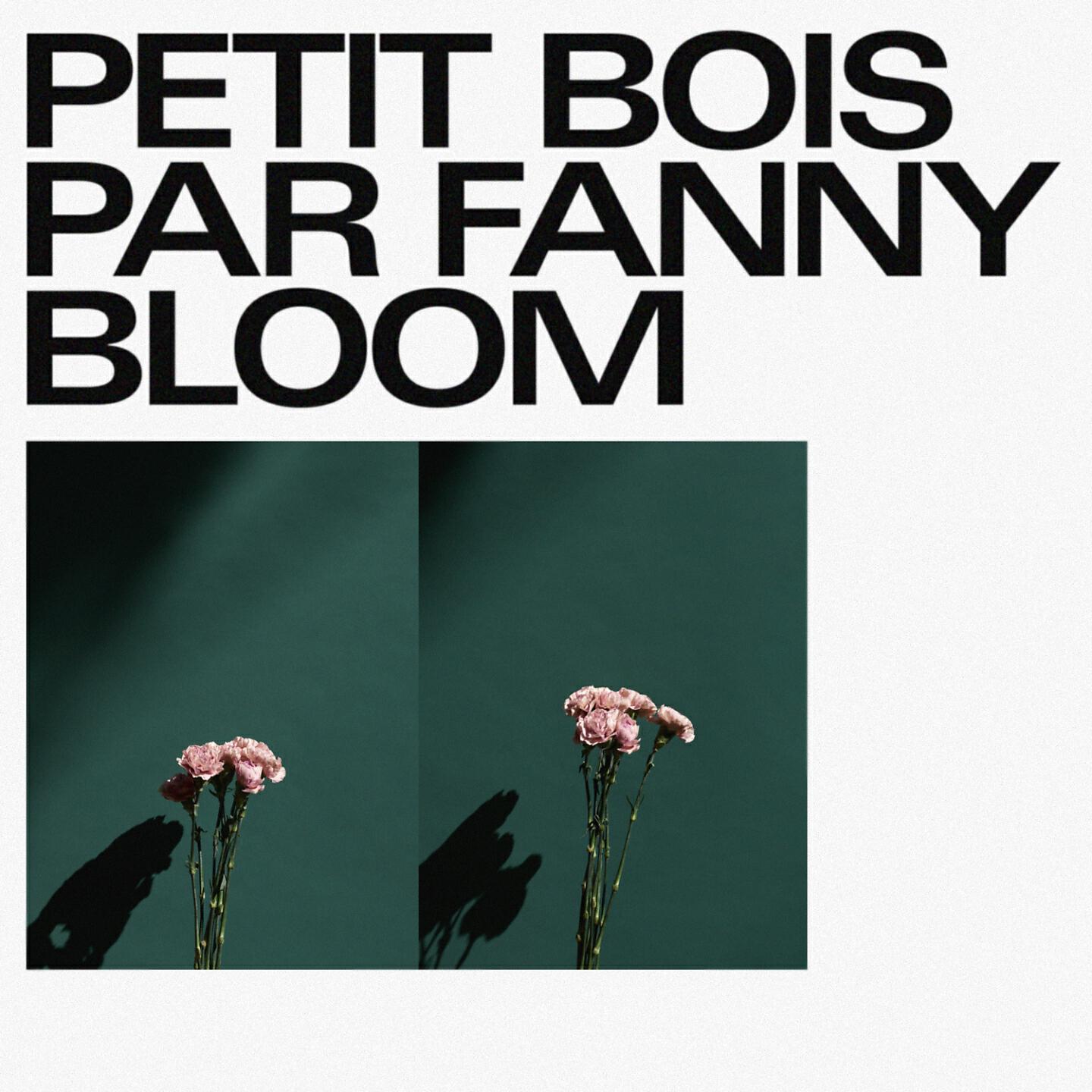 Релиз Petit bois