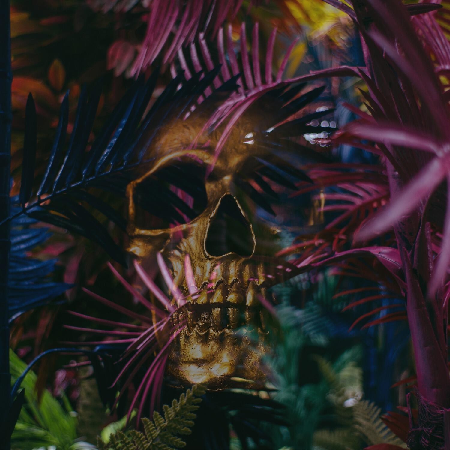 Релиз Fantasmas en el Jardín (feat. Iluminatik)