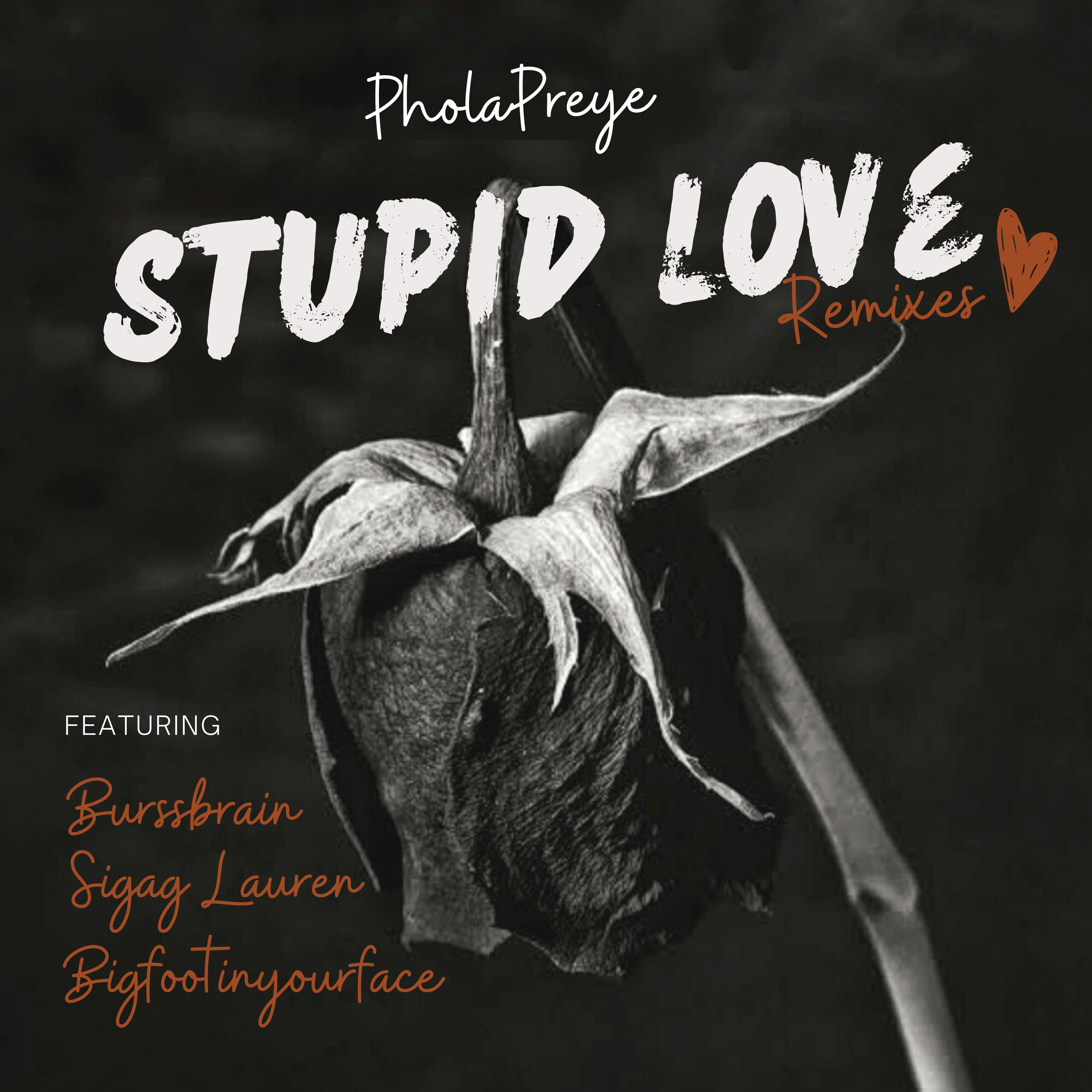 Релиз Stupid Love