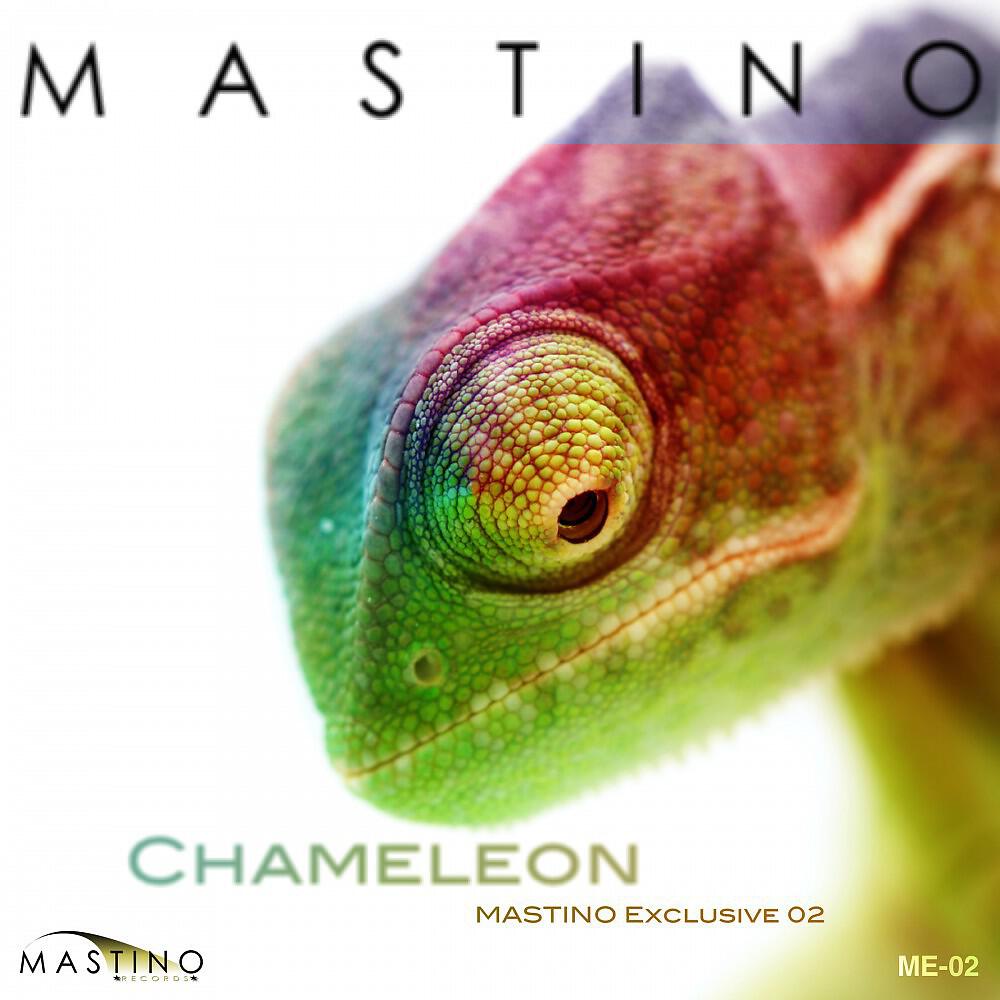 Релиз Chameleon