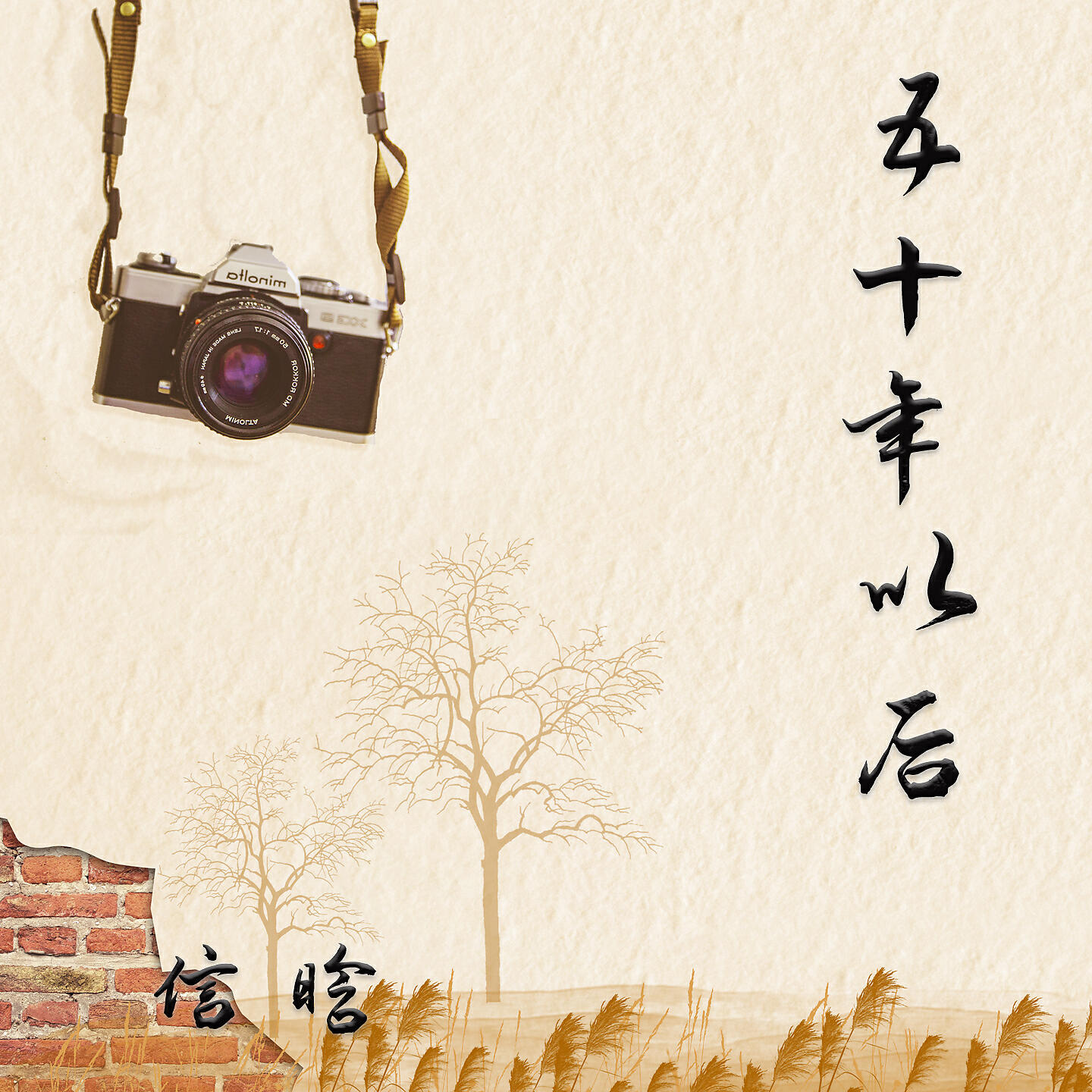 Релиз 五十年以后
