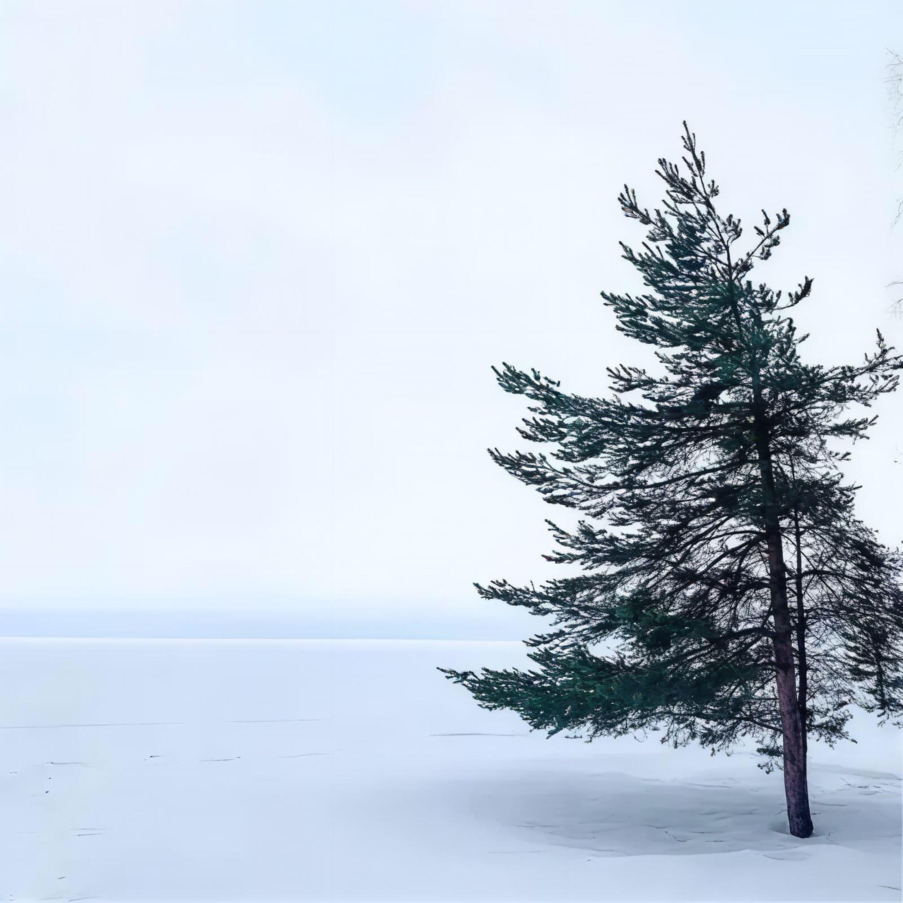 Релиз Душа моя кроха