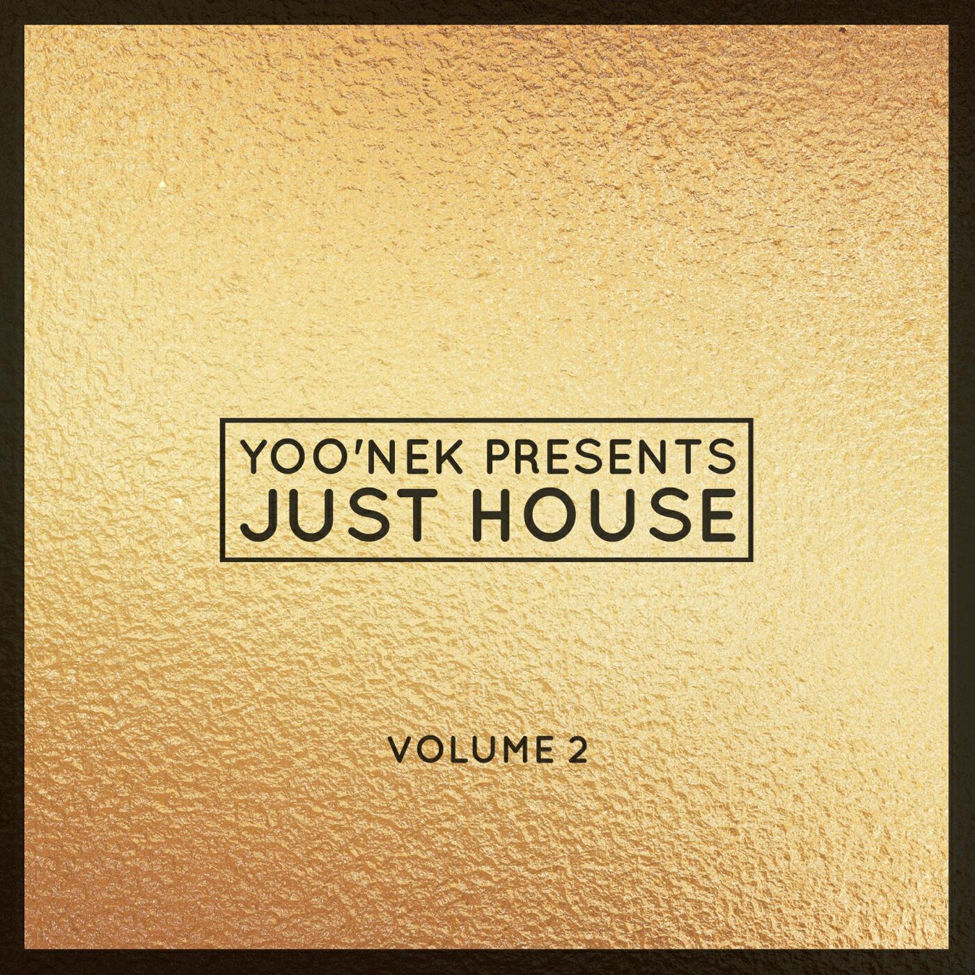 Релиз Yoo'nek Presents Just House, Vol. 2