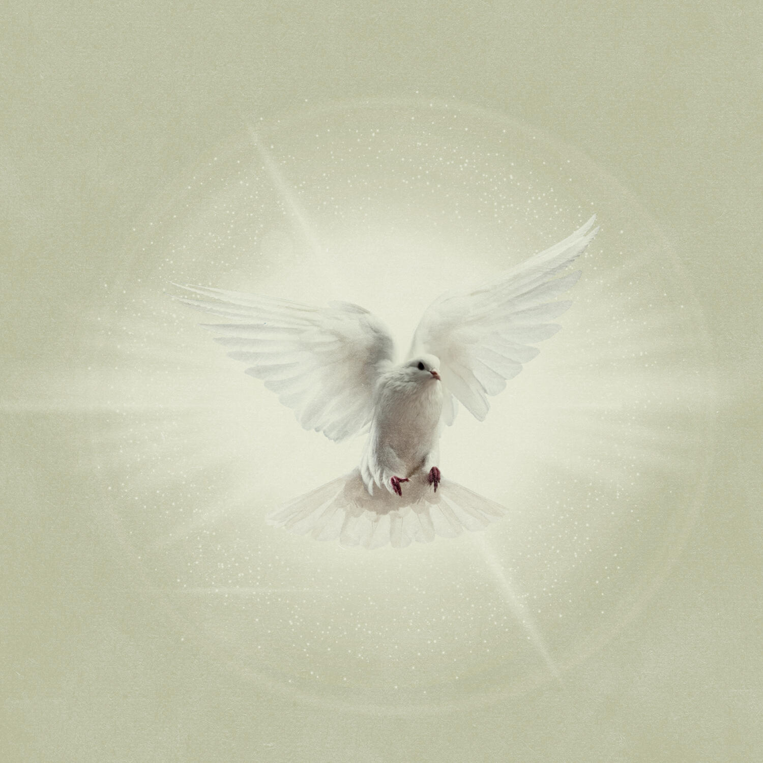 Релиз Spirit Breathe