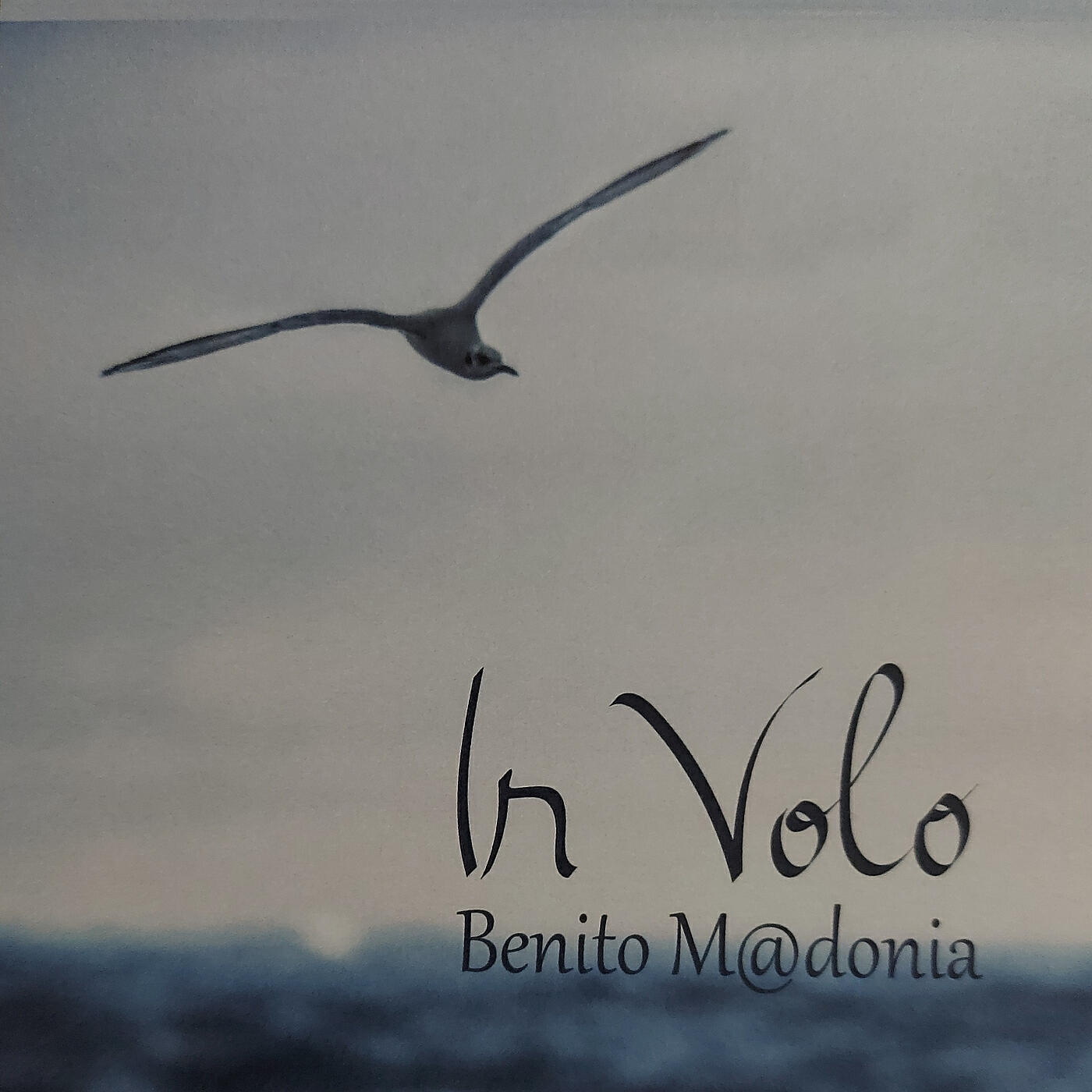 Релиз In Volo