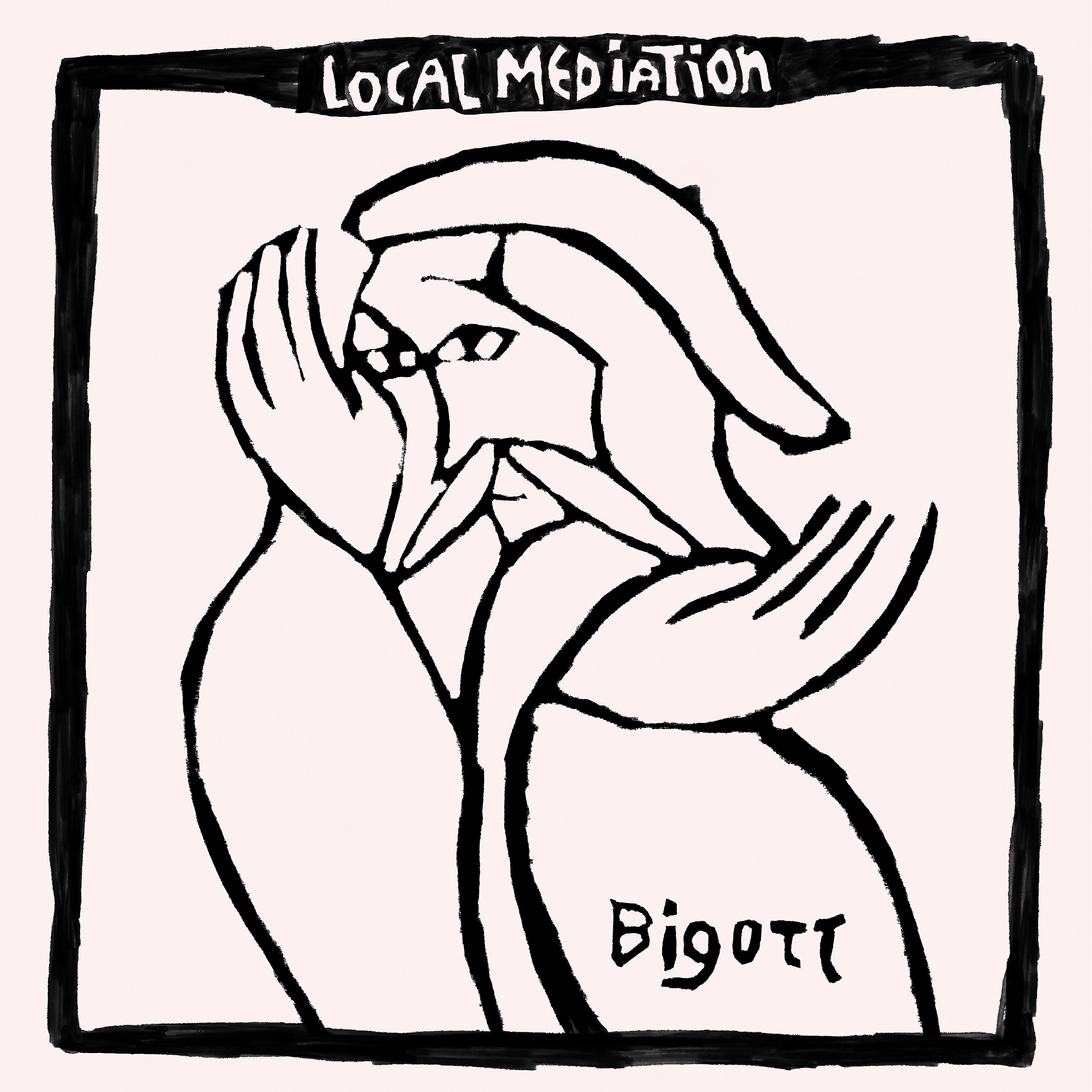 Релиз Local Mediation