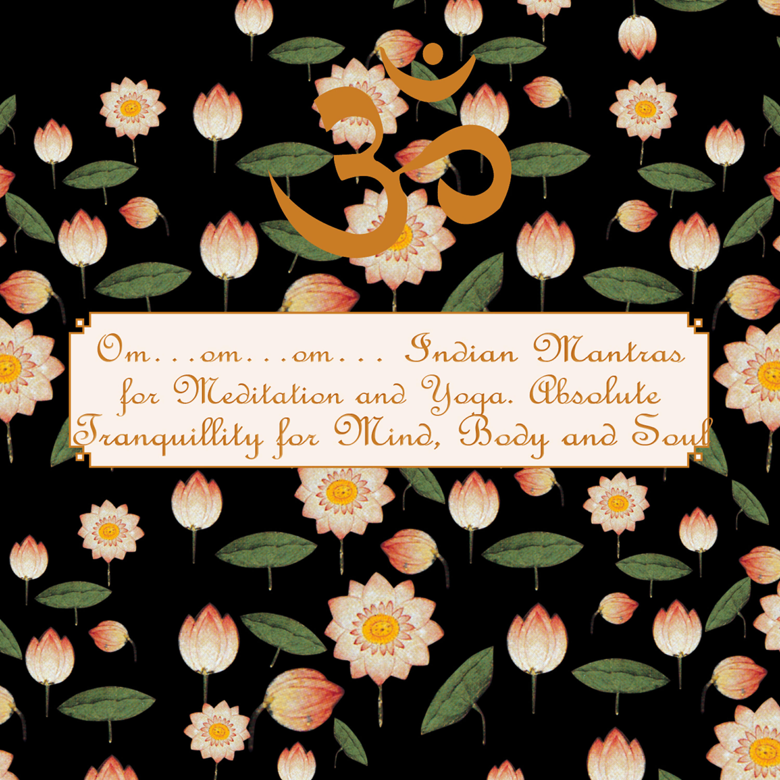 Релиз Om...Om...Om - Chants for Yoga and Meditation